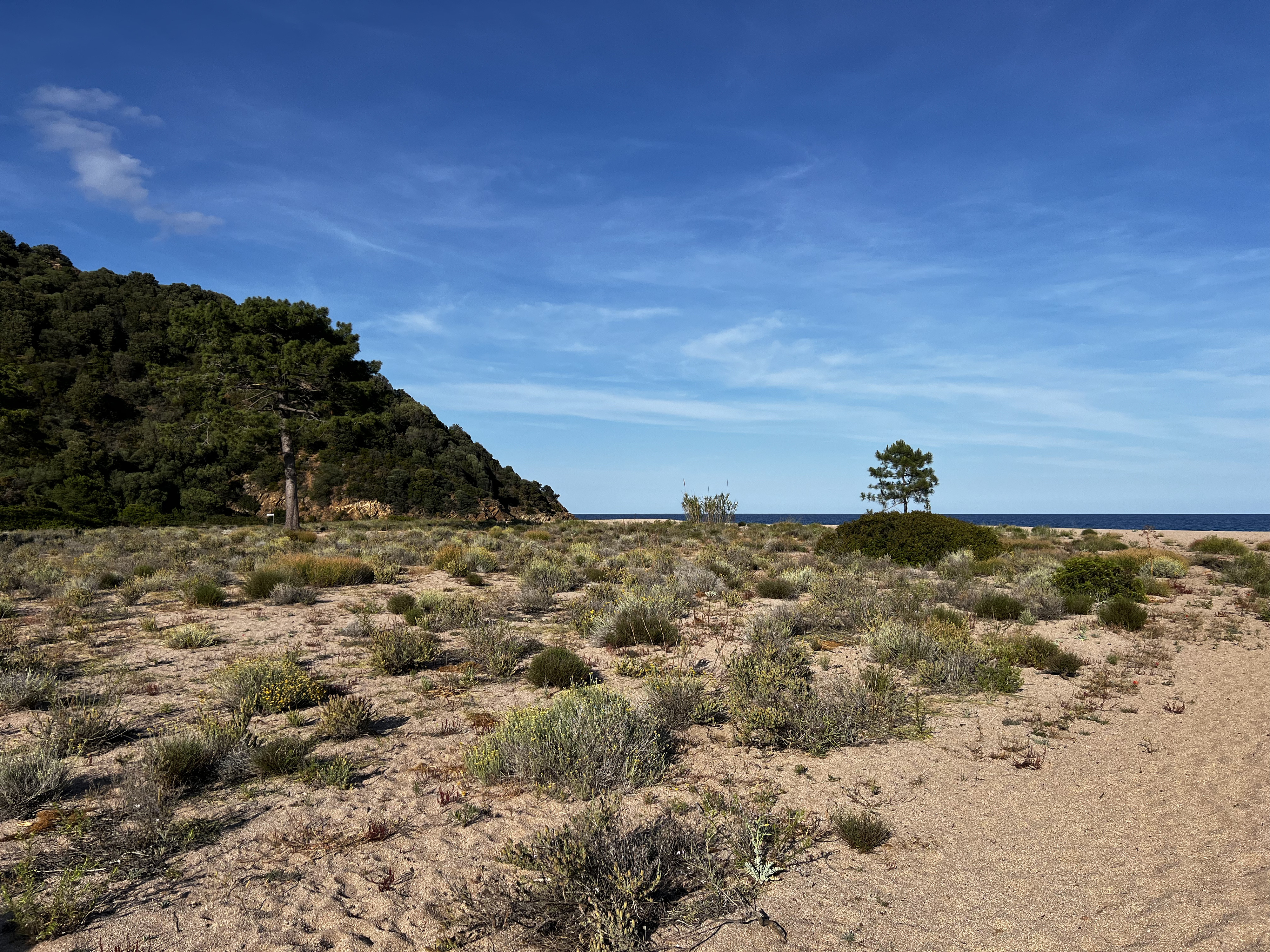 Picture France Corsica Ovu Santu Beach⁩ 2024-05 6 - Center Ovu Santu Beach⁩