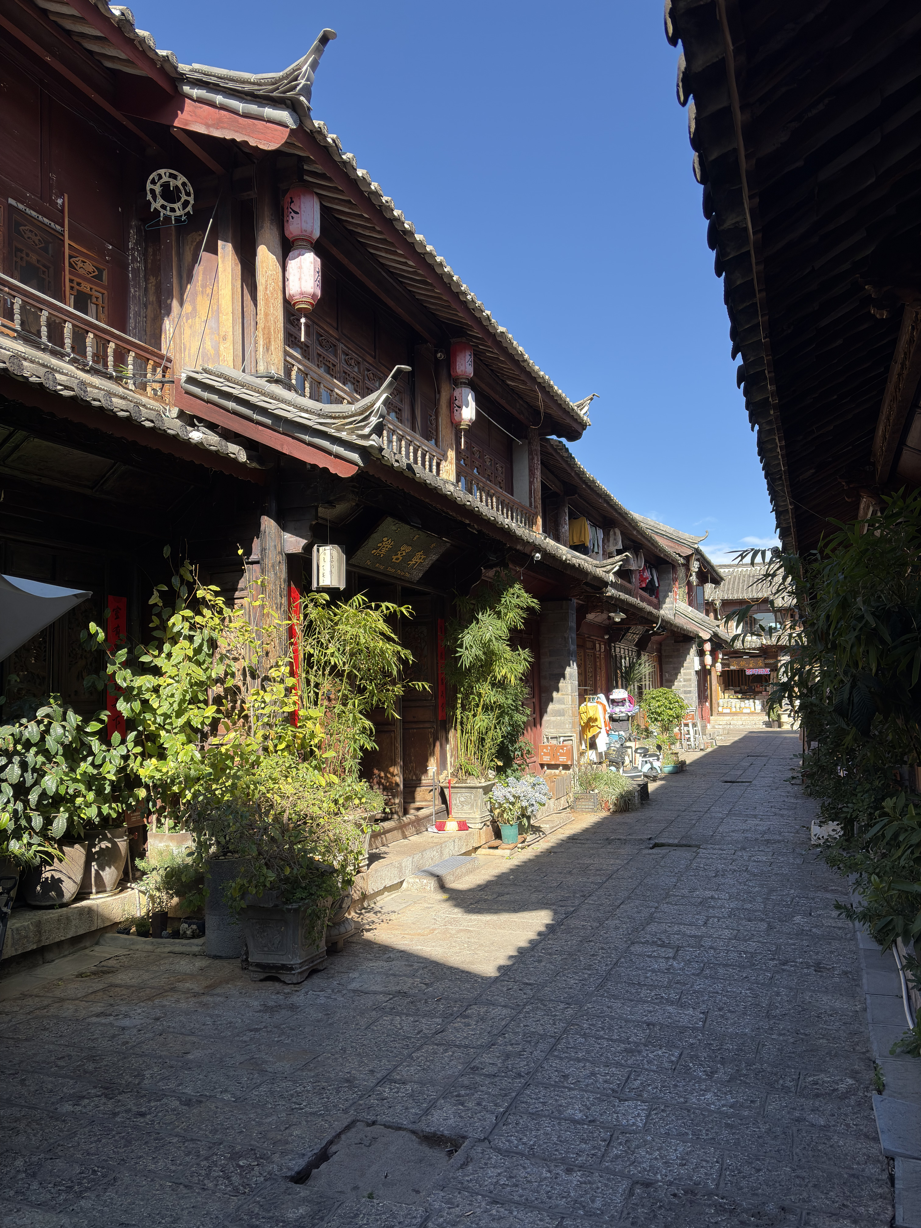 Picture China Lijiang 2026-01 1 - Tours Lijiang
