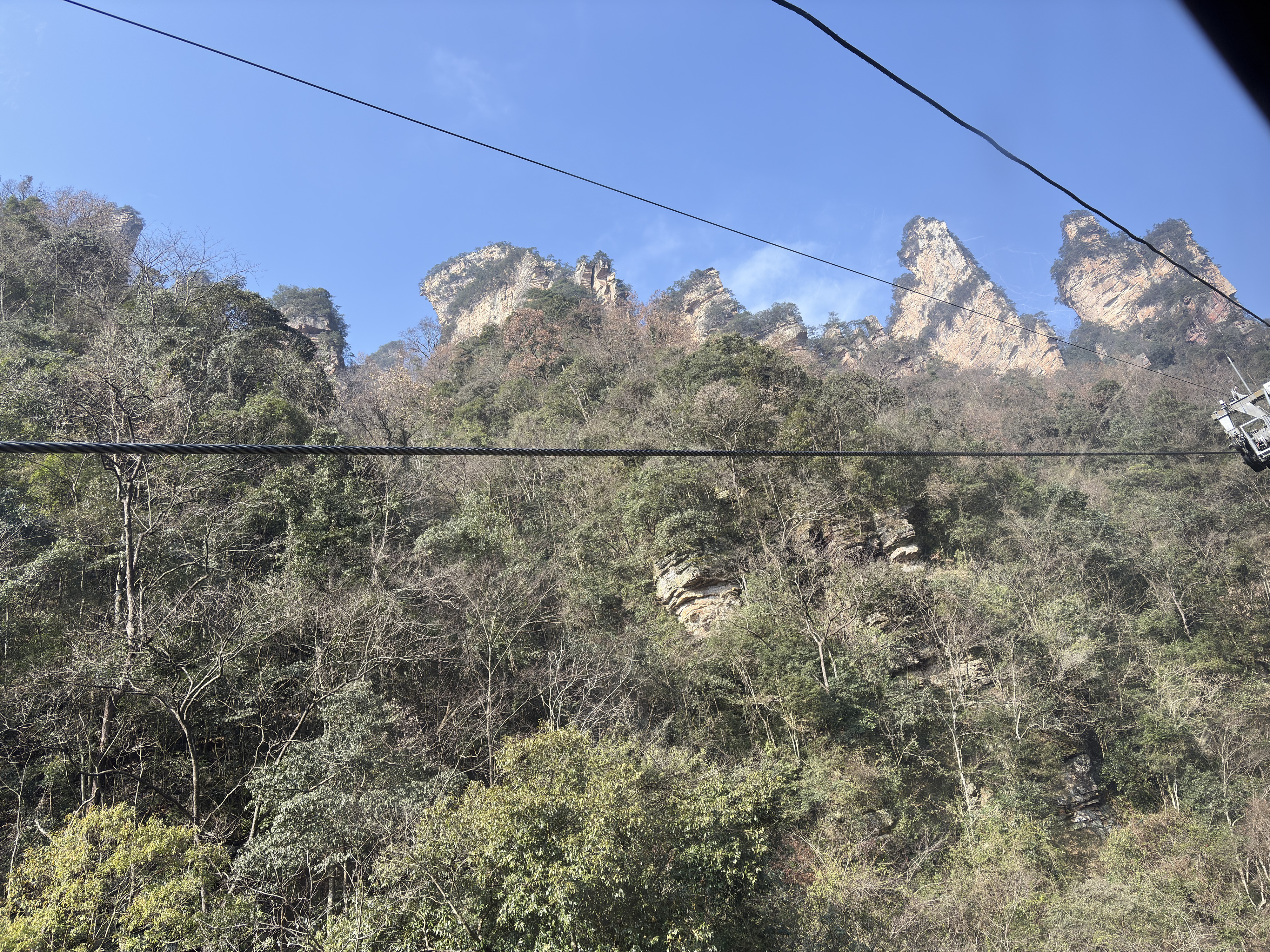 Picture China Zhangjiajie Tianzi Mountrain 2026-01 191 - Tours Tianzi Mountrain
