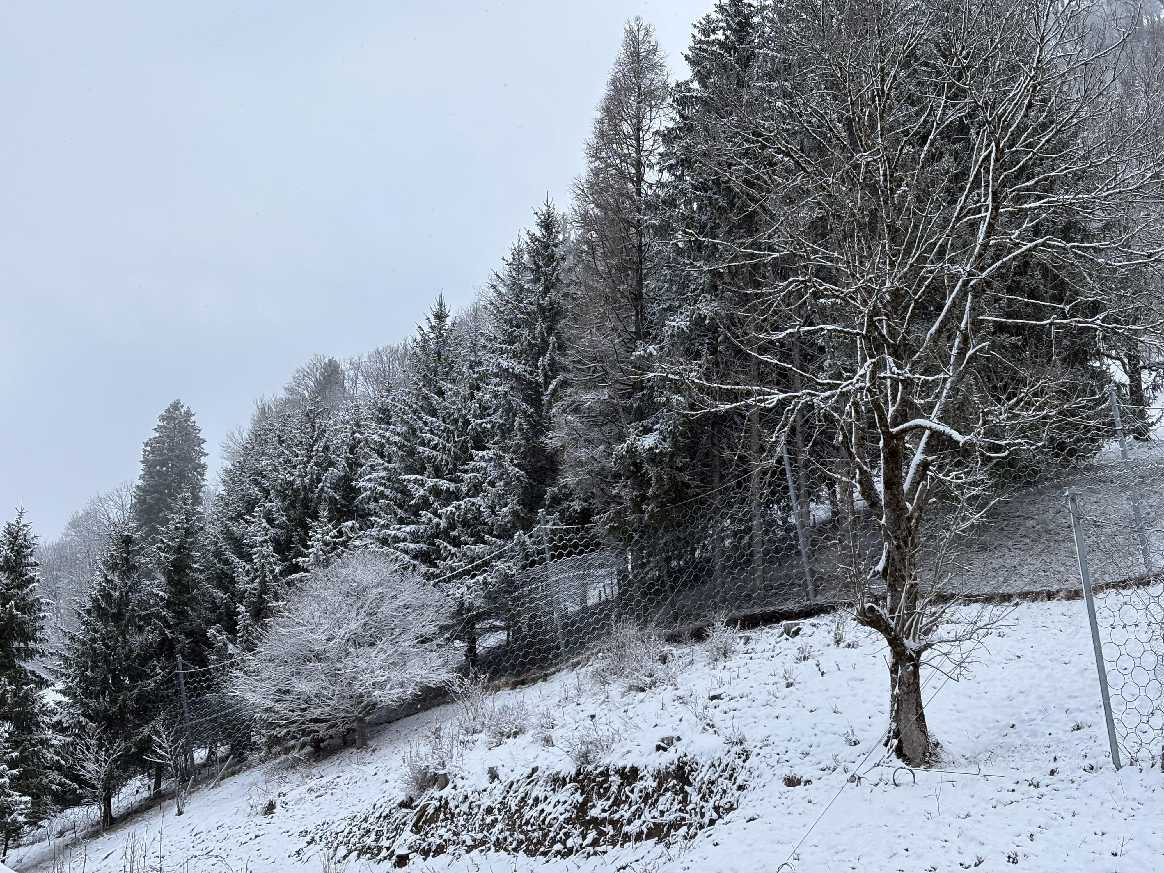 Picture France Praz sur Arly 2025-02 62 - Tour Praz sur Arly