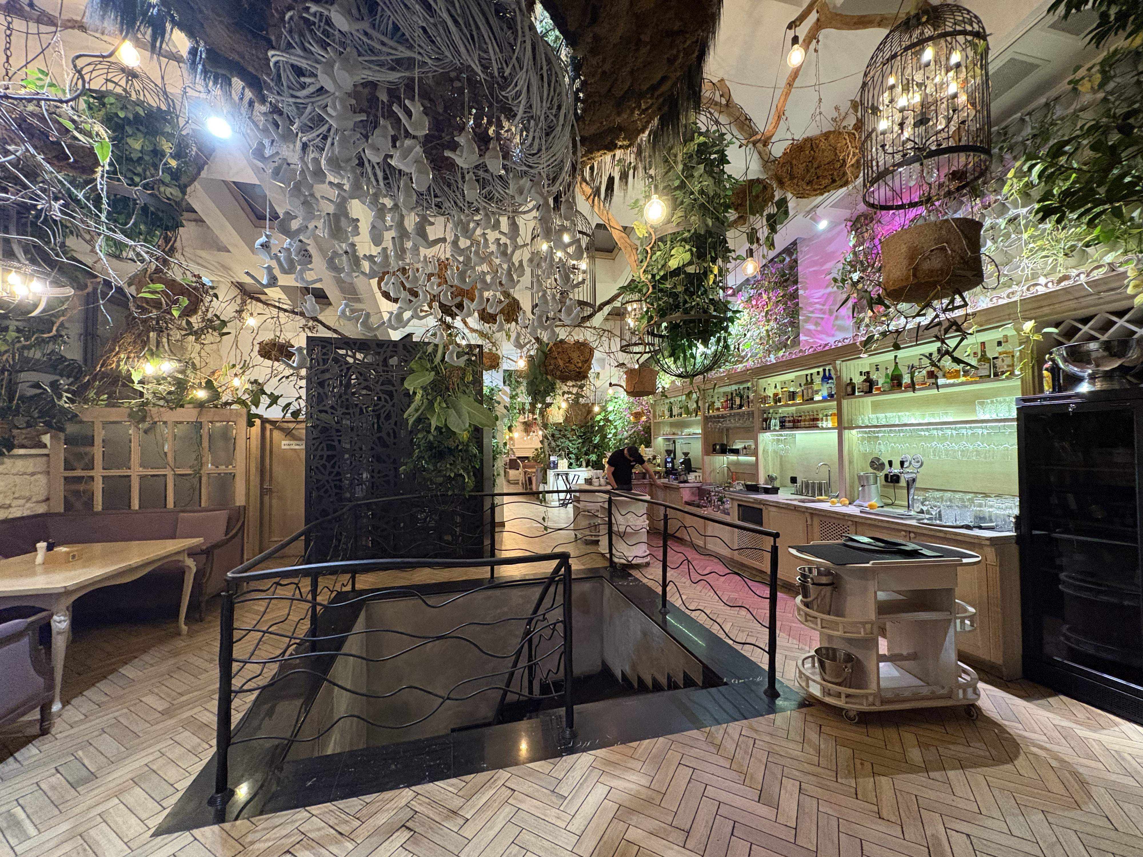 Picture Ukraine Lviv Restaurants 2024-10 83 - Recreation Restaurants