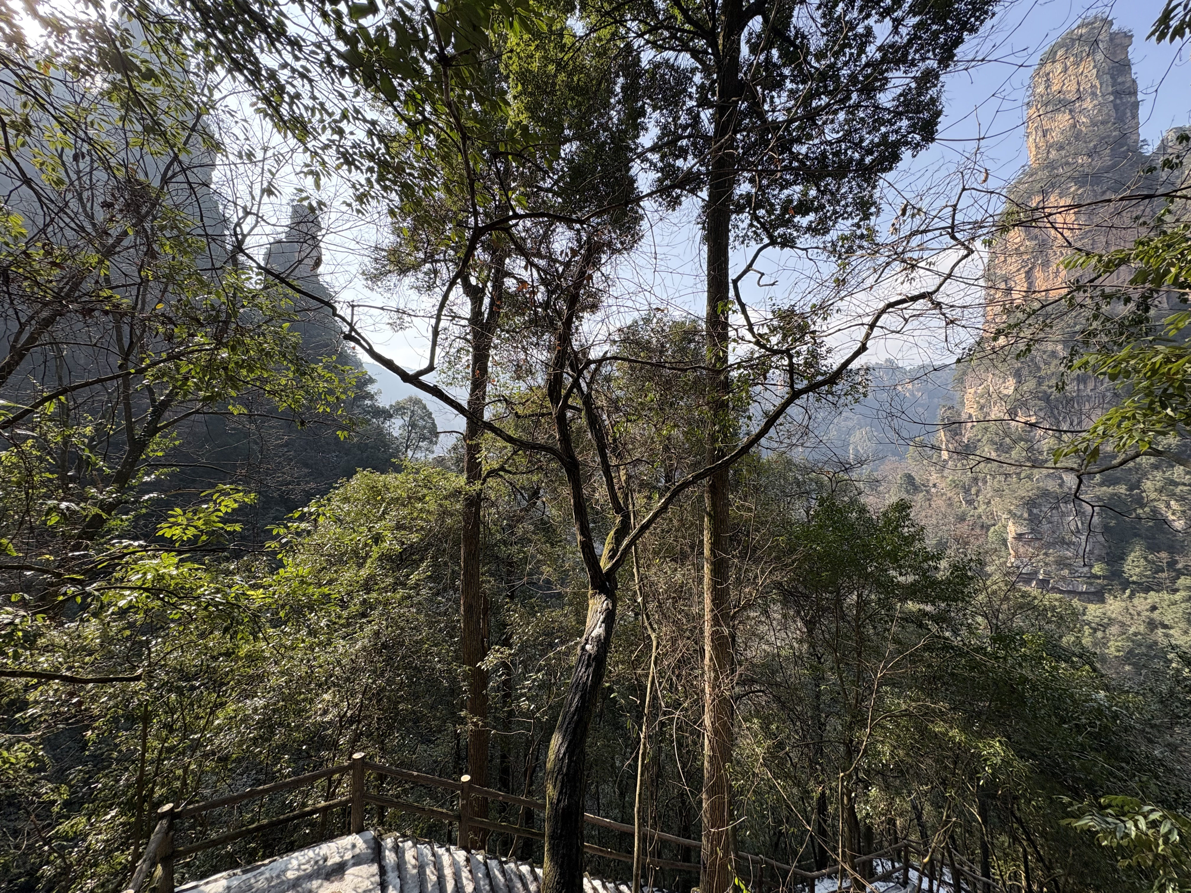 Picture China Zhangjiajie Tianzi Mountrain 2026-01 436 - Tour Tianzi Mountrain