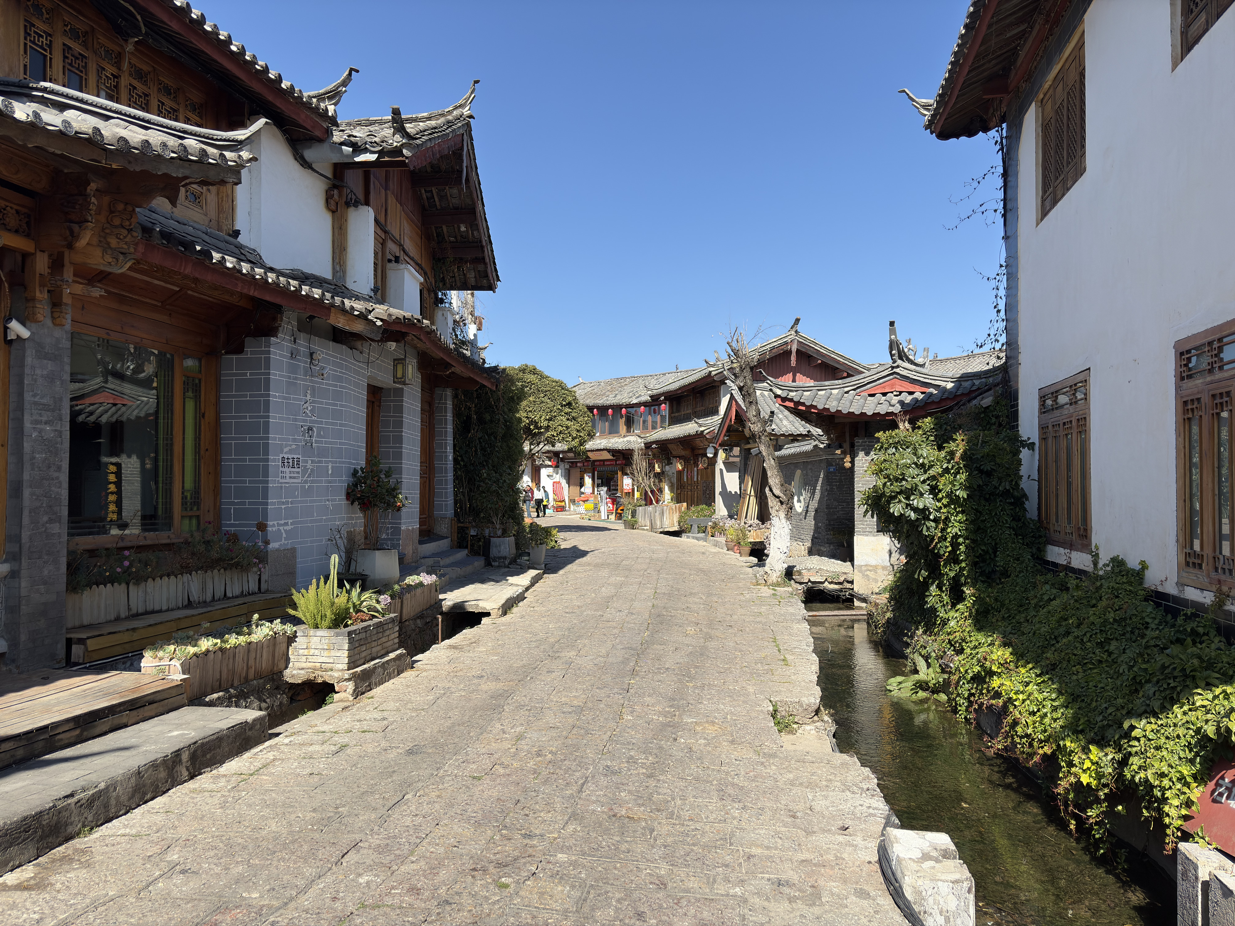 Picture China Lijiang 2026-01 641 - Tour Lijiang