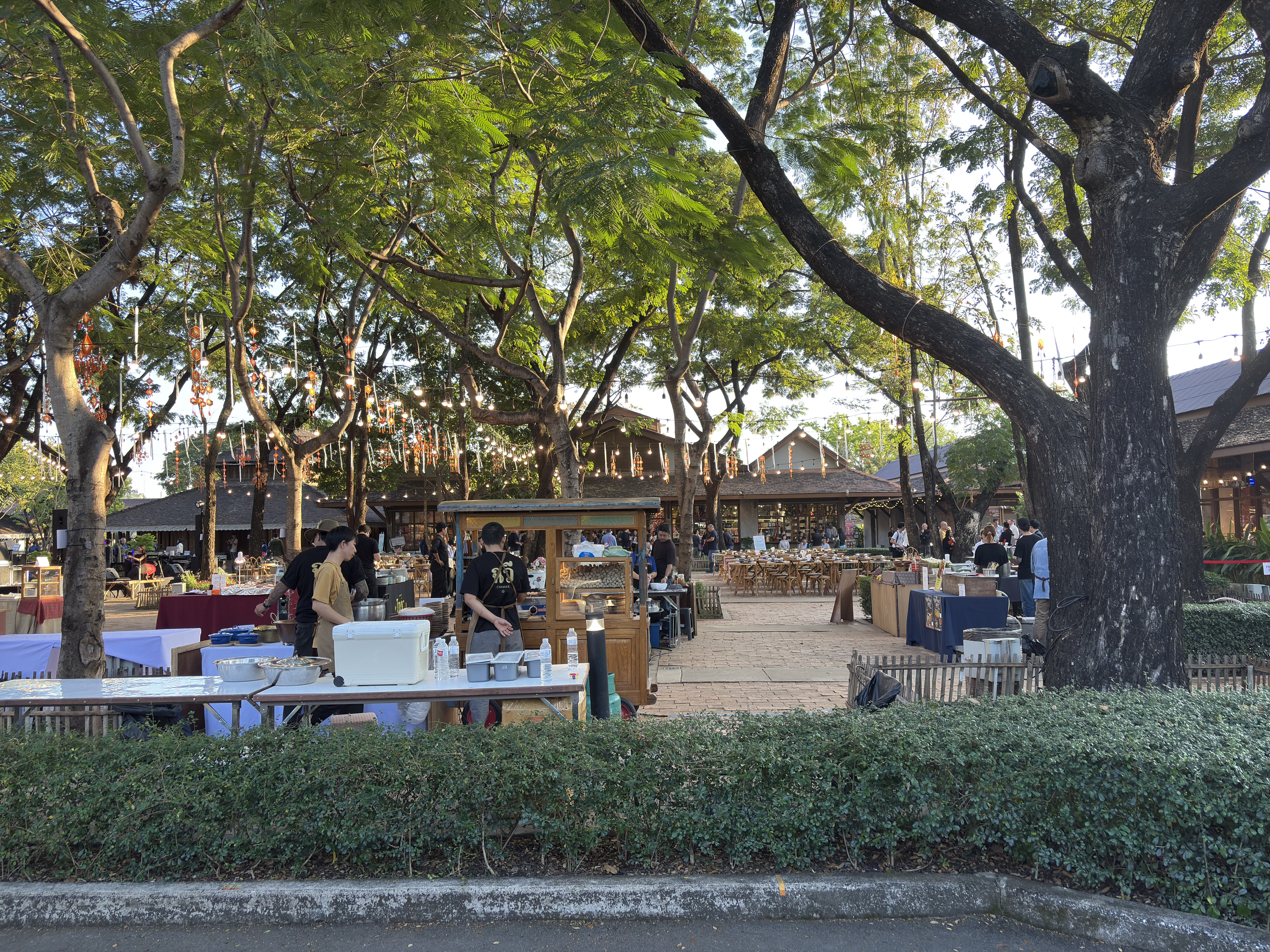 Picture Thailand Chiang Mai 2026-01 3 - Tour Chiang Mai