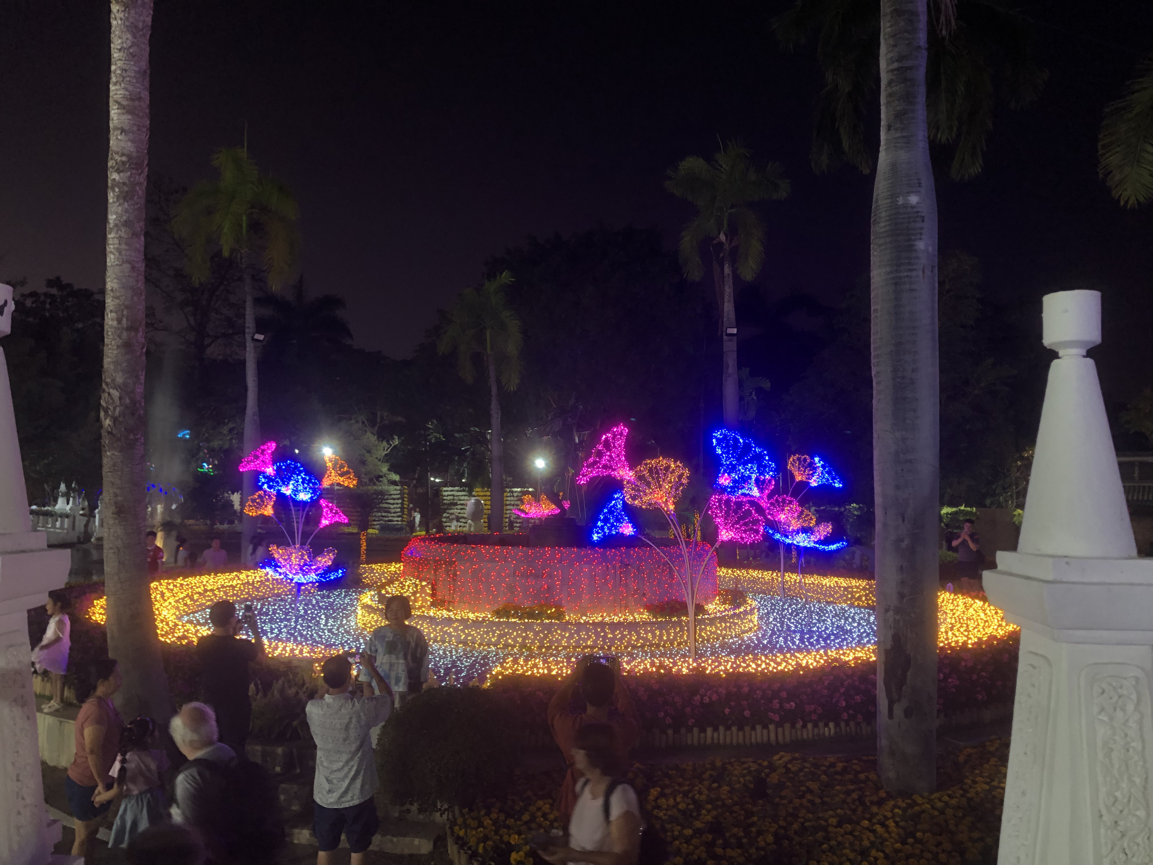 Picture Thailand Chiang Mai Nong Buak Haad Public Park 2024-01 4 - Journey Nong Buak Haad Public Park