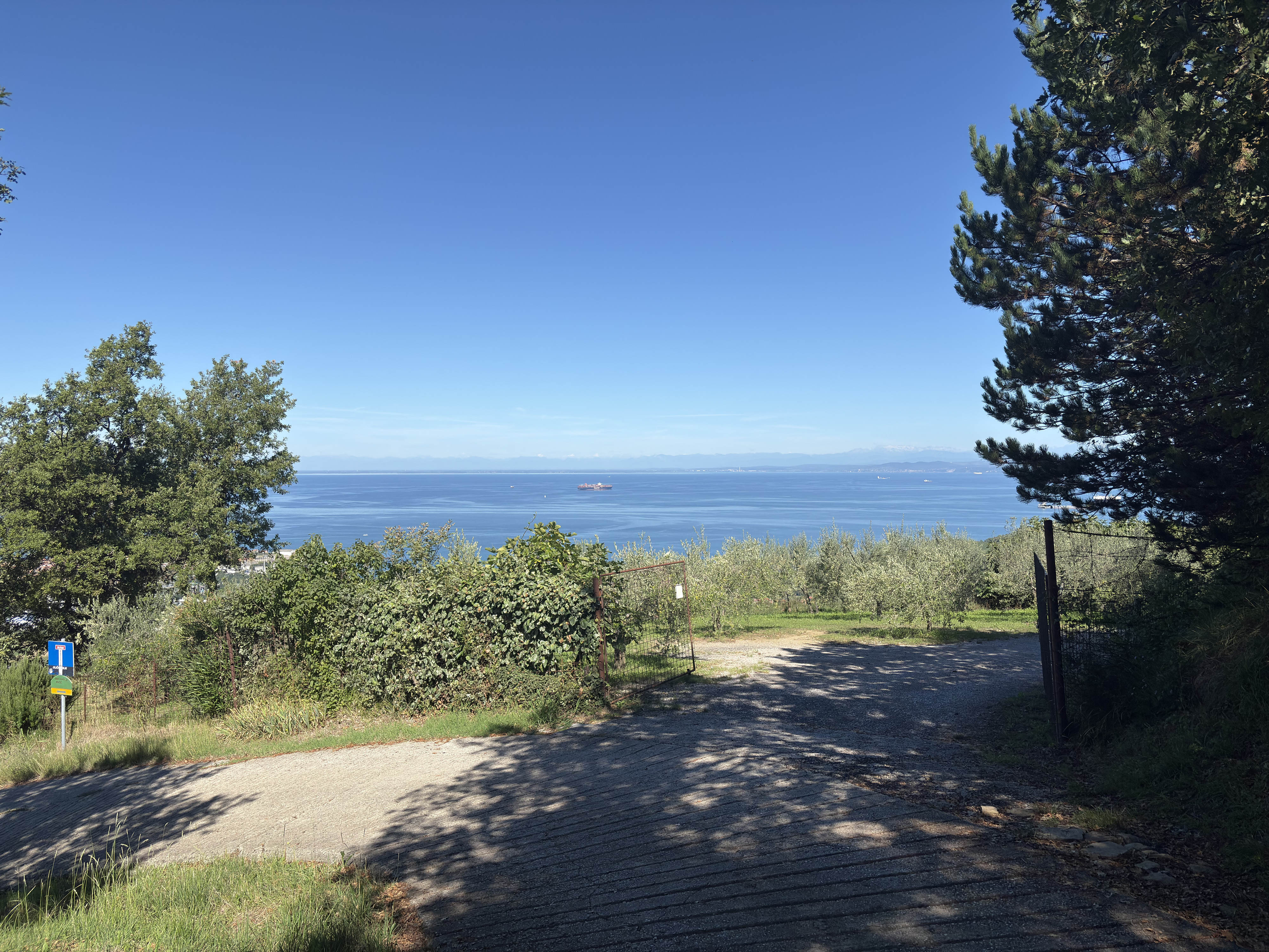 Picture Slovenia Izola 2025-09 11 - Discovery Izola