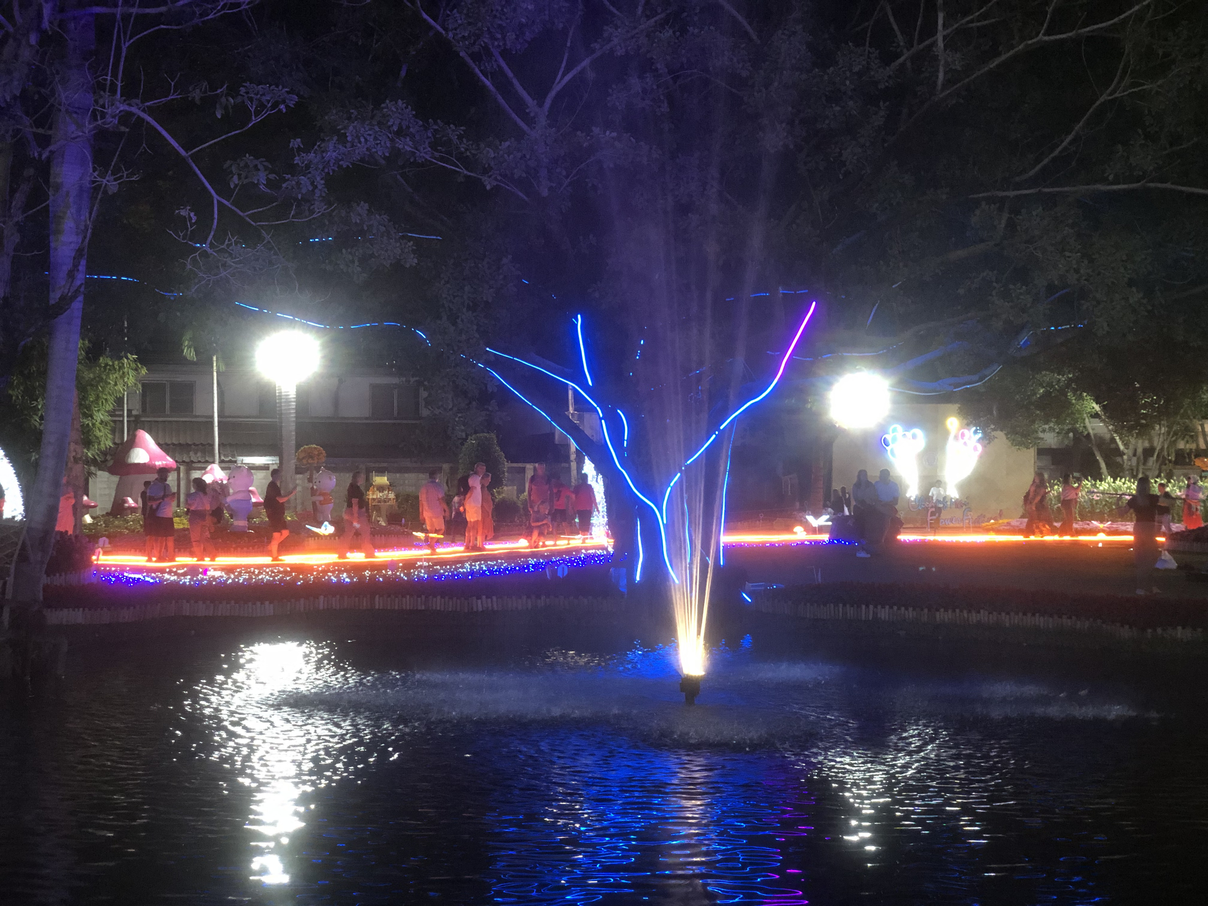 Picture Thailand Chiang Mai Nong Buak Haad Public Park 2024-01 5 - Around Nong Buak Haad Public Park