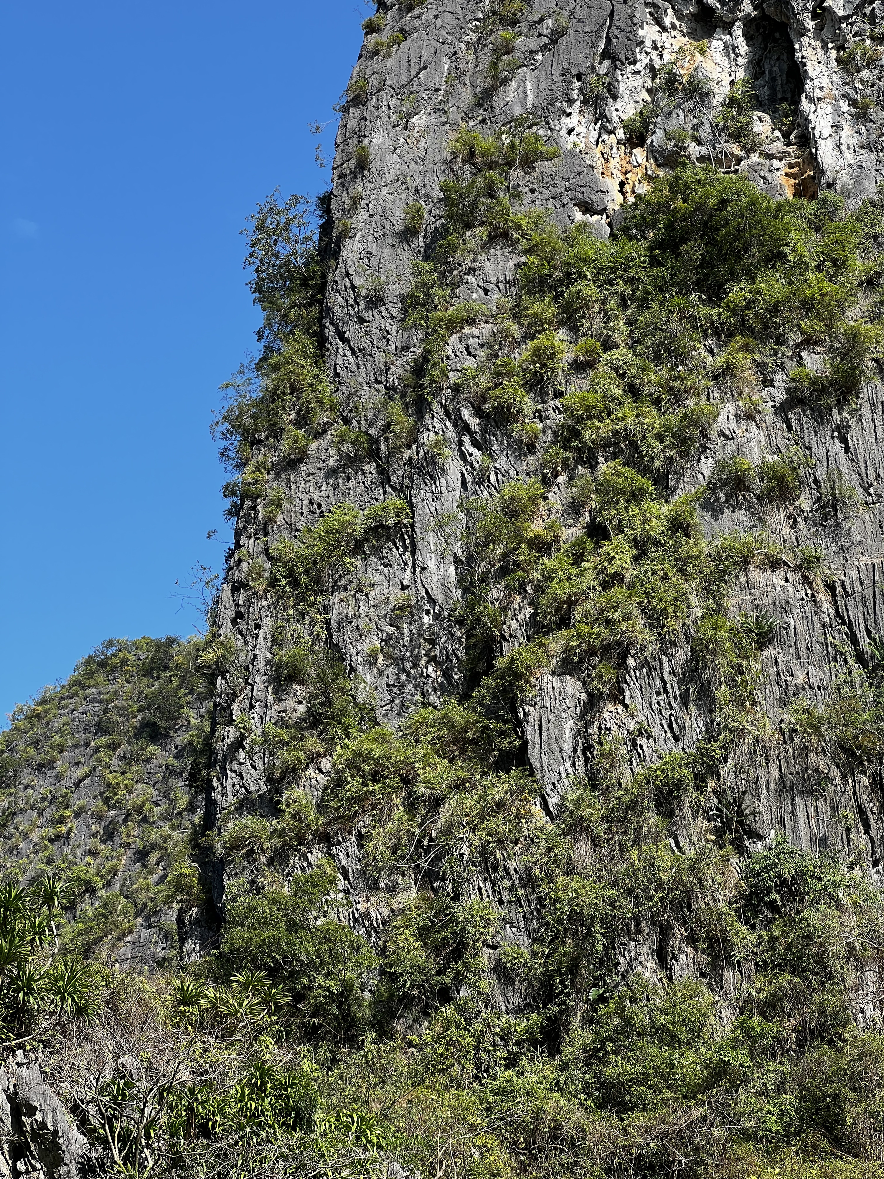 Picture Vietnam Ha Long Bay 2024-01 147 - History Ha Long Bay