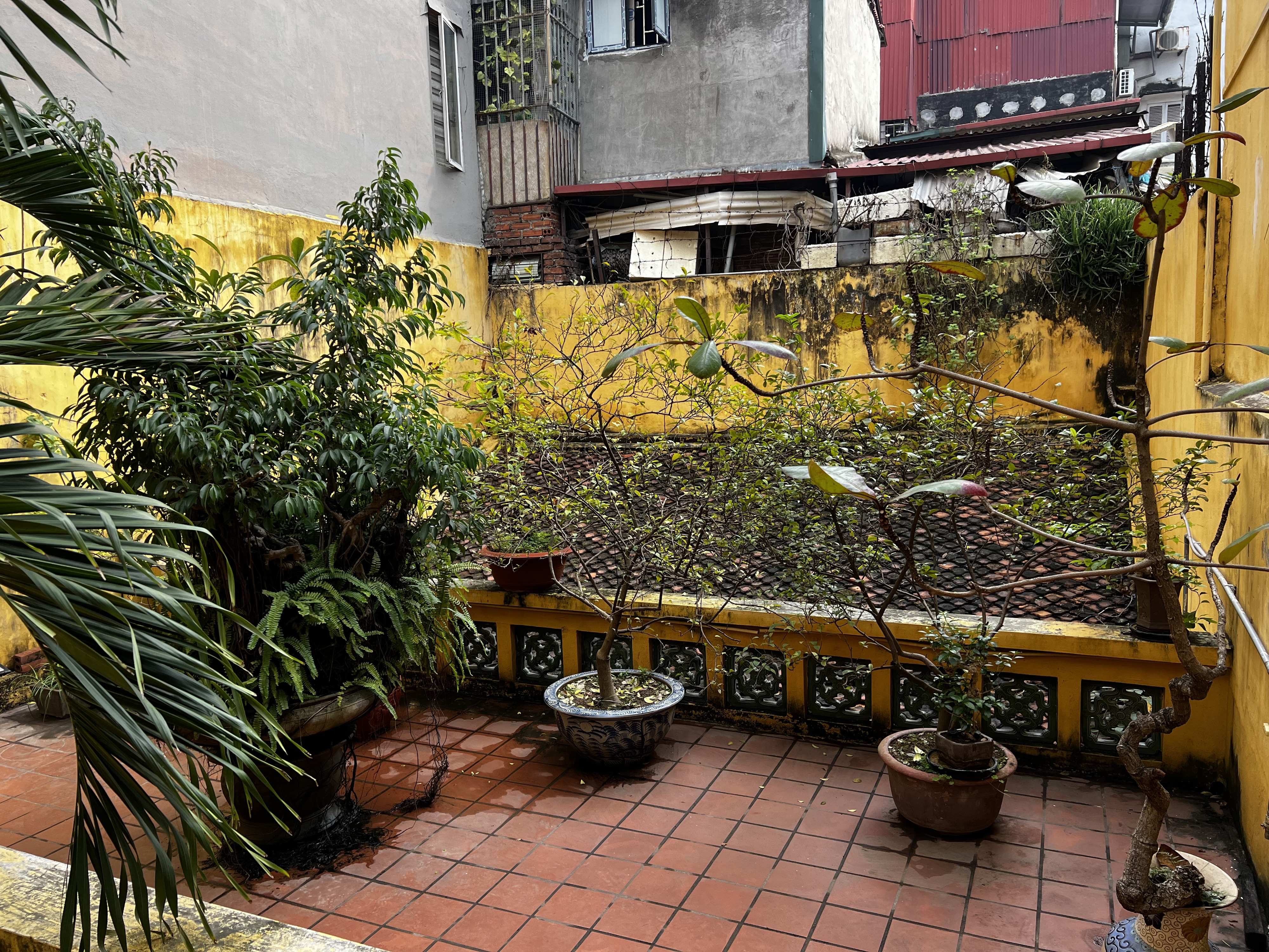 Picture Vietnam Hanoi Heritage House 2024-01 15 - Center Heritage House