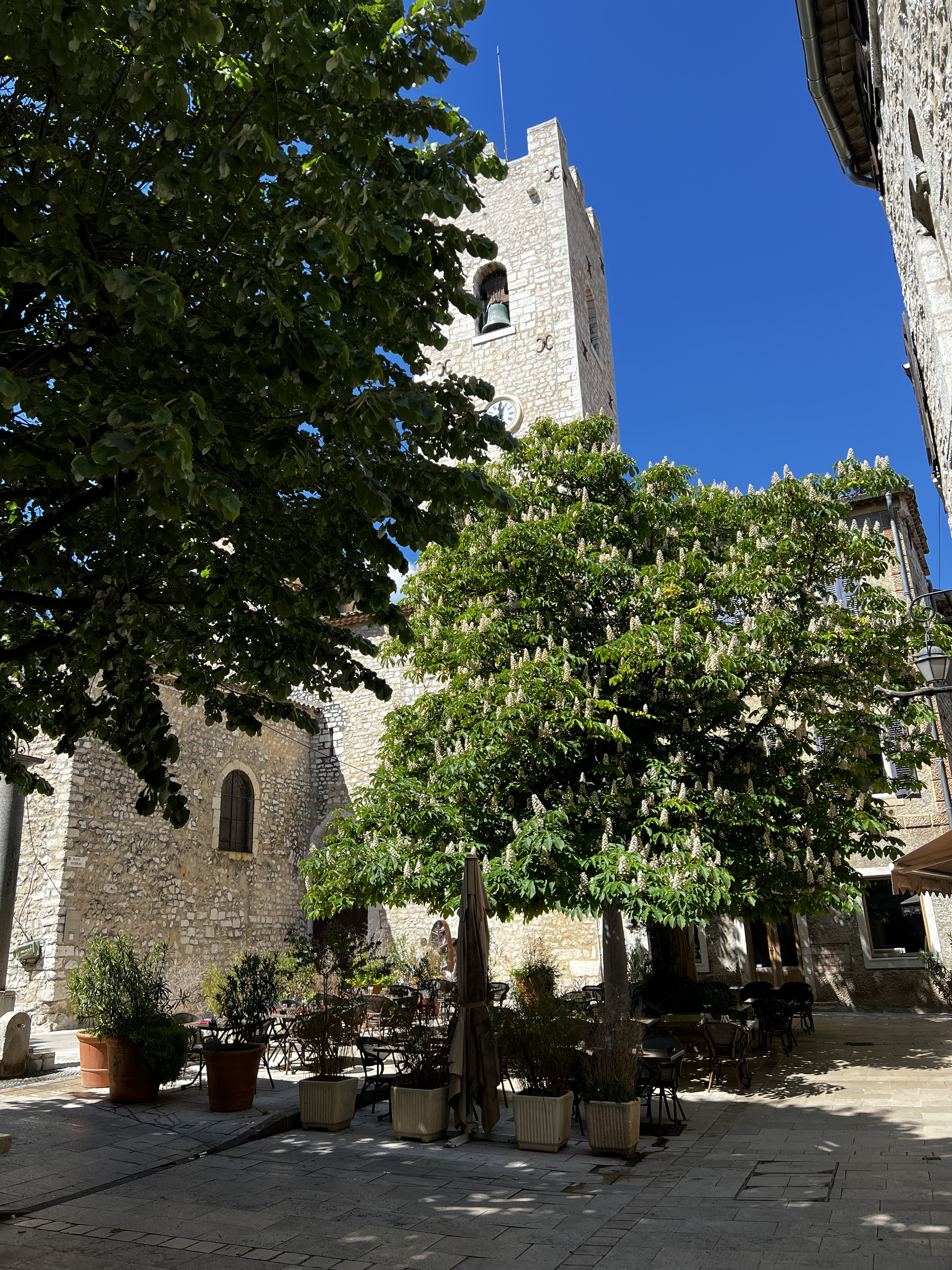 Picture France Vence 2024-04 61 - Journey Vence
