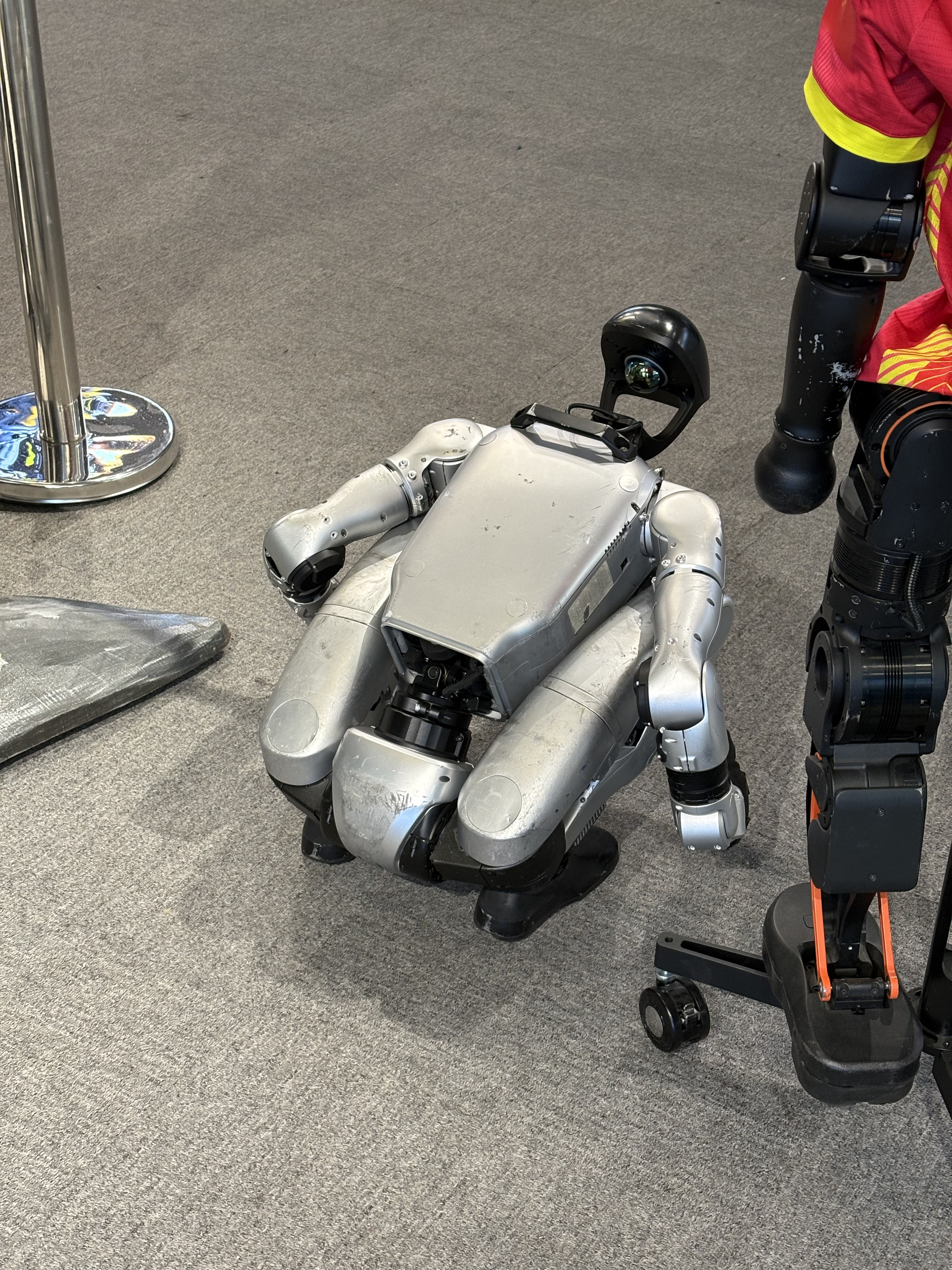 Picture China Shenzhen Shenzhen Robots 2026-01 12 - Discovery Shenzhen Robots