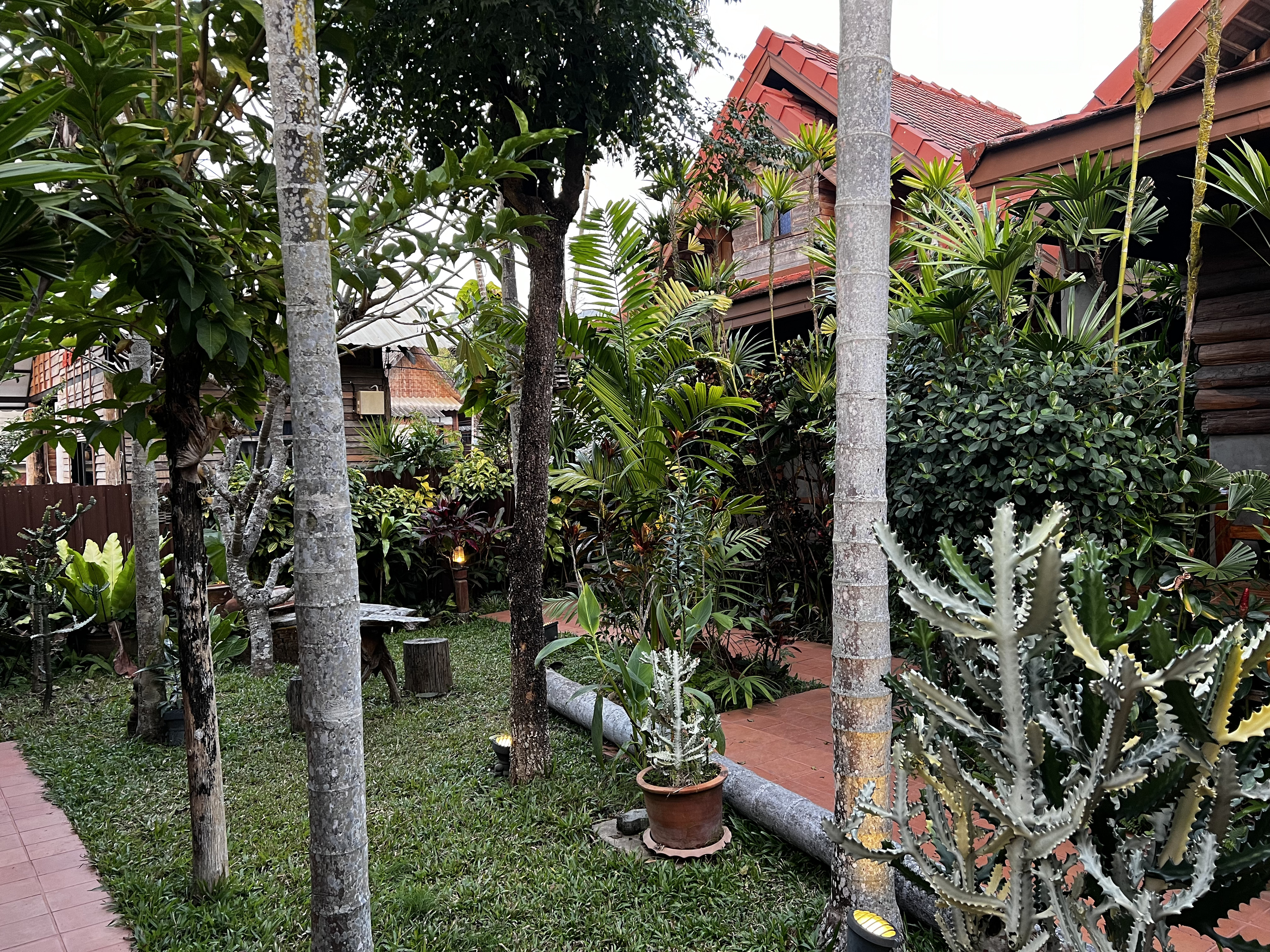 Picture Thailand Pai 2024-01 47 - History Pai