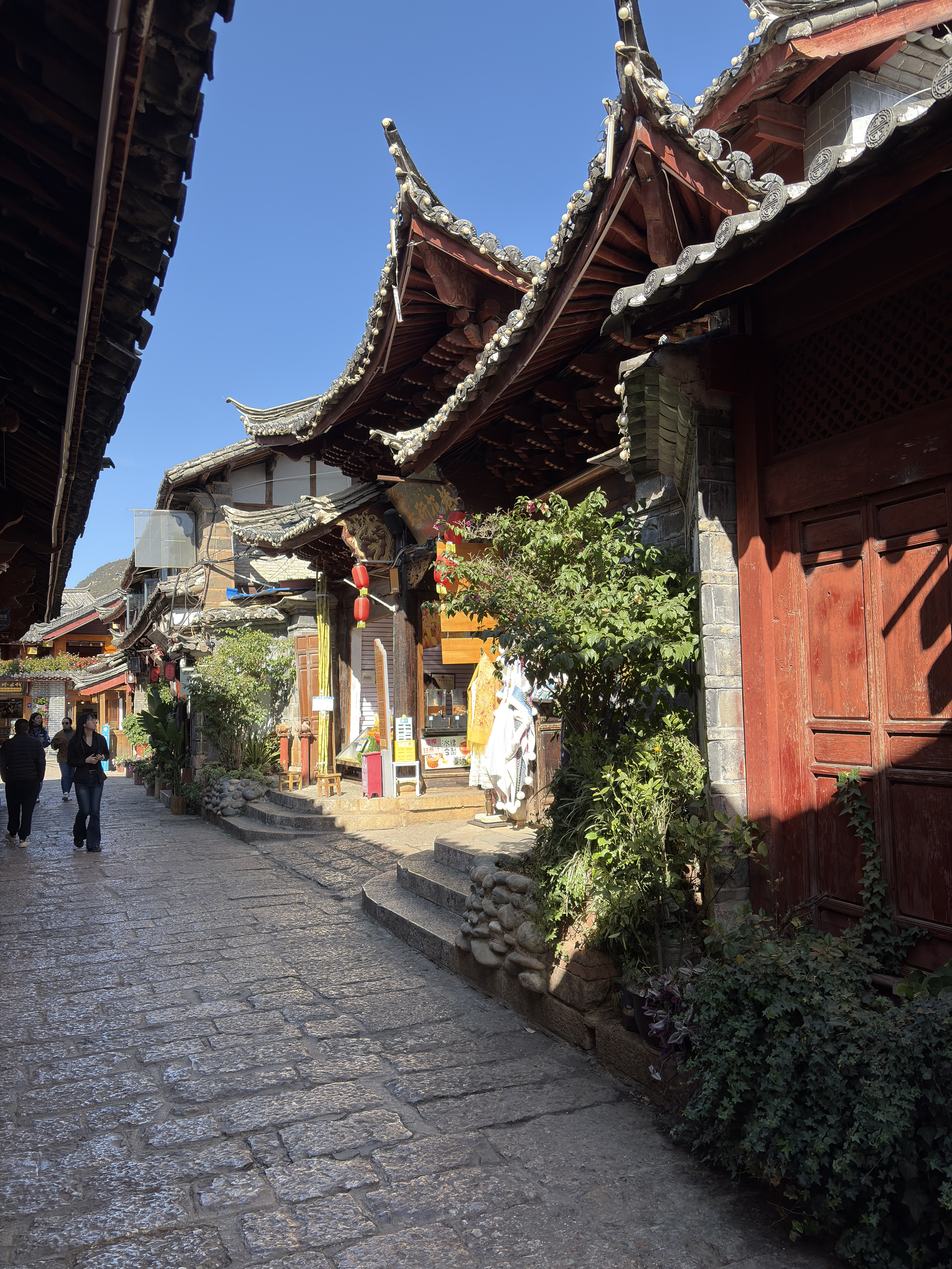Picture China Lijiang 2026-01 633 - Discovery Lijiang