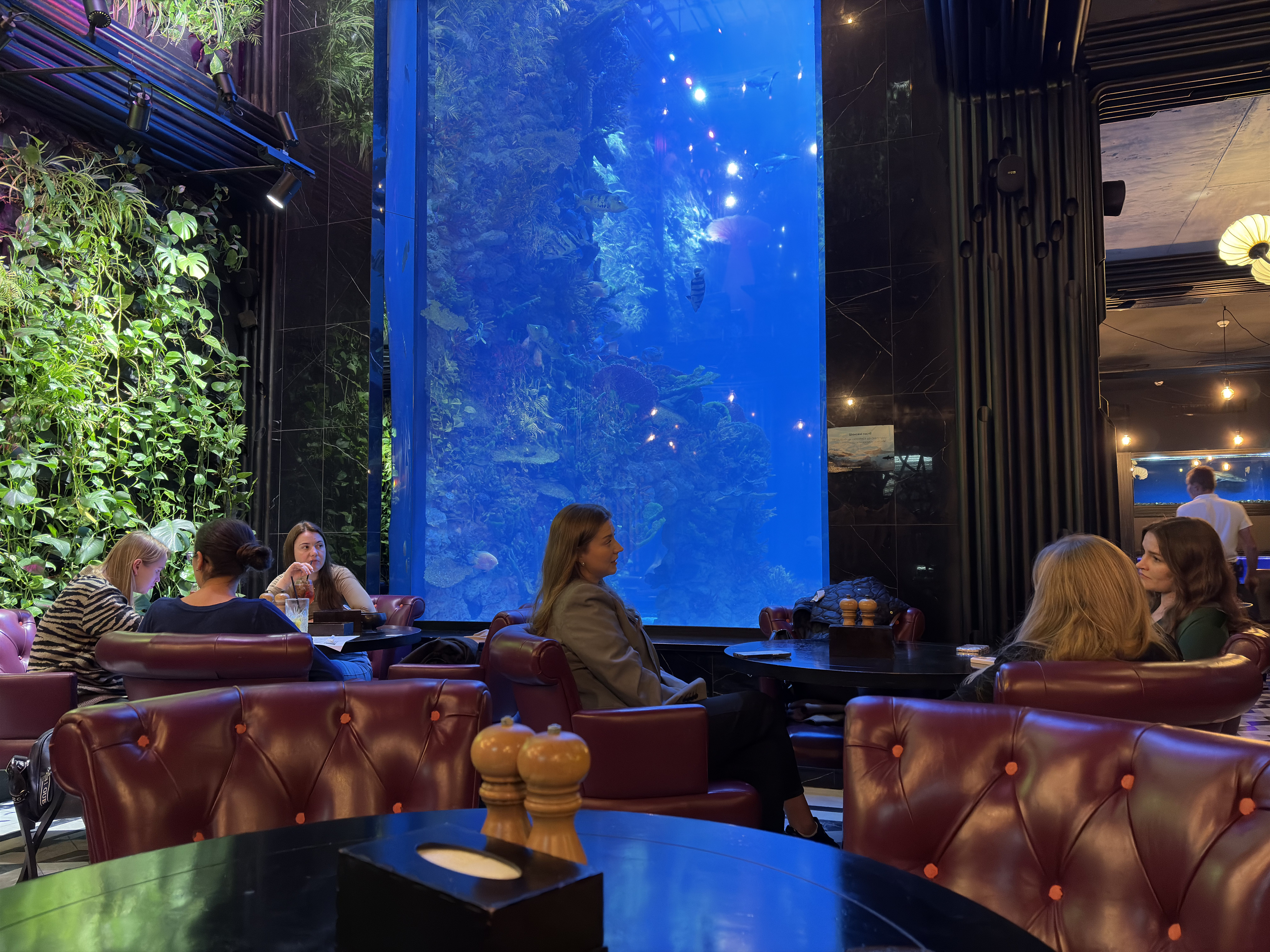 Picture Ukraine Lviv Restaurants 2024-10 140 - Center Restaurants