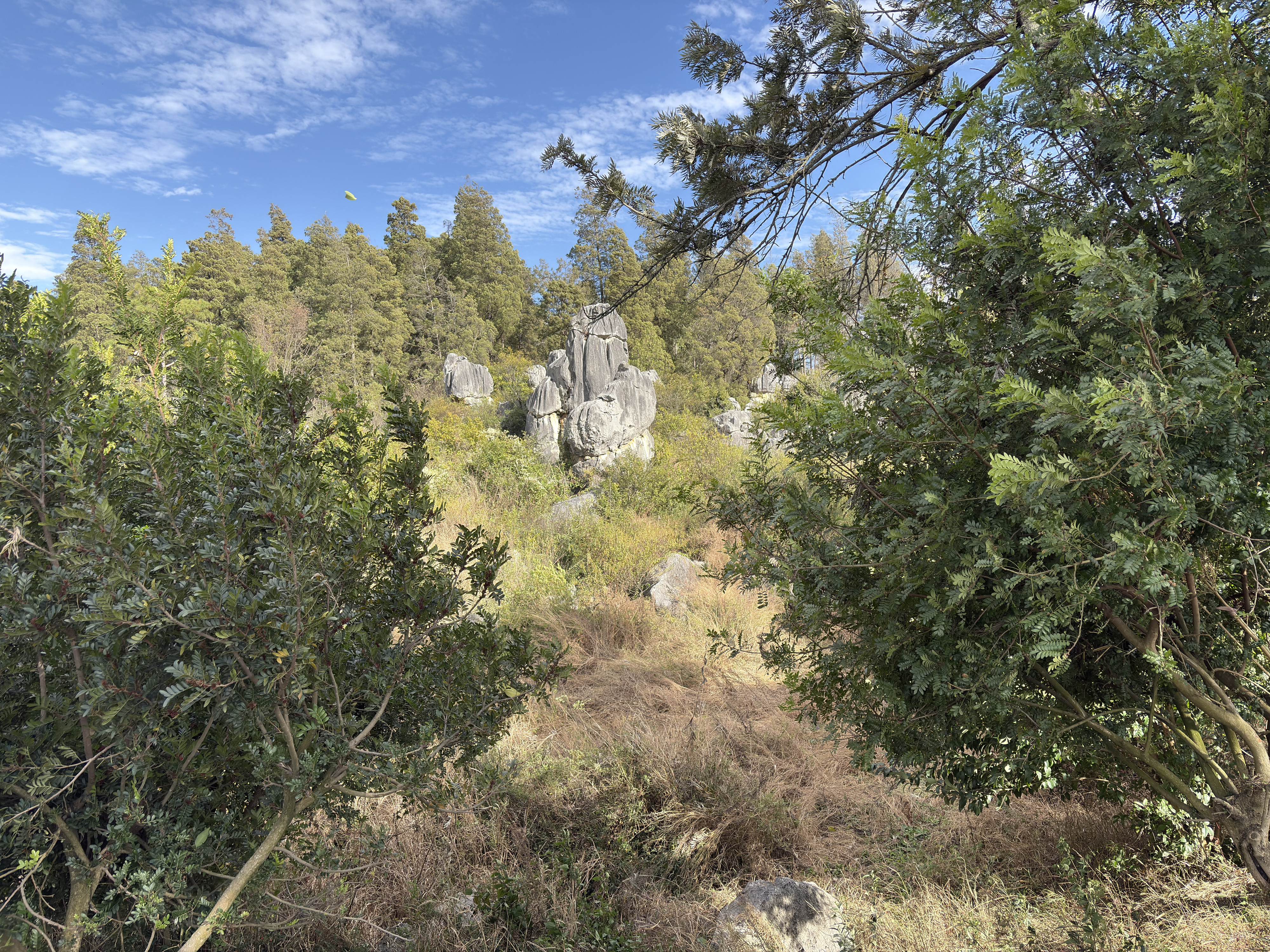 Picture China Shilin Stone Forest 2026-01 386 - History Shilin Stone Forest
