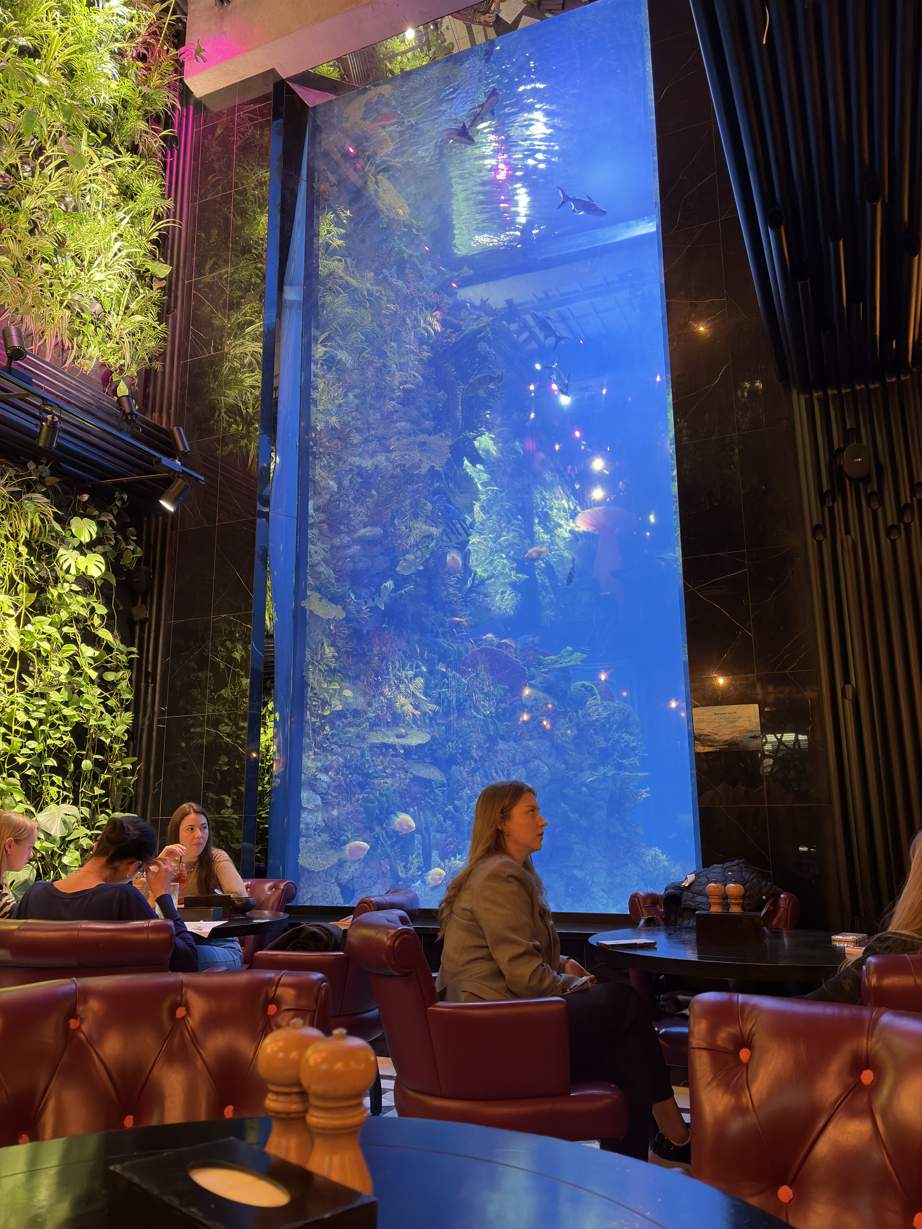 Picture Ukraine Lviv Restaurants 2024-10 81 - Discovery Restaurants