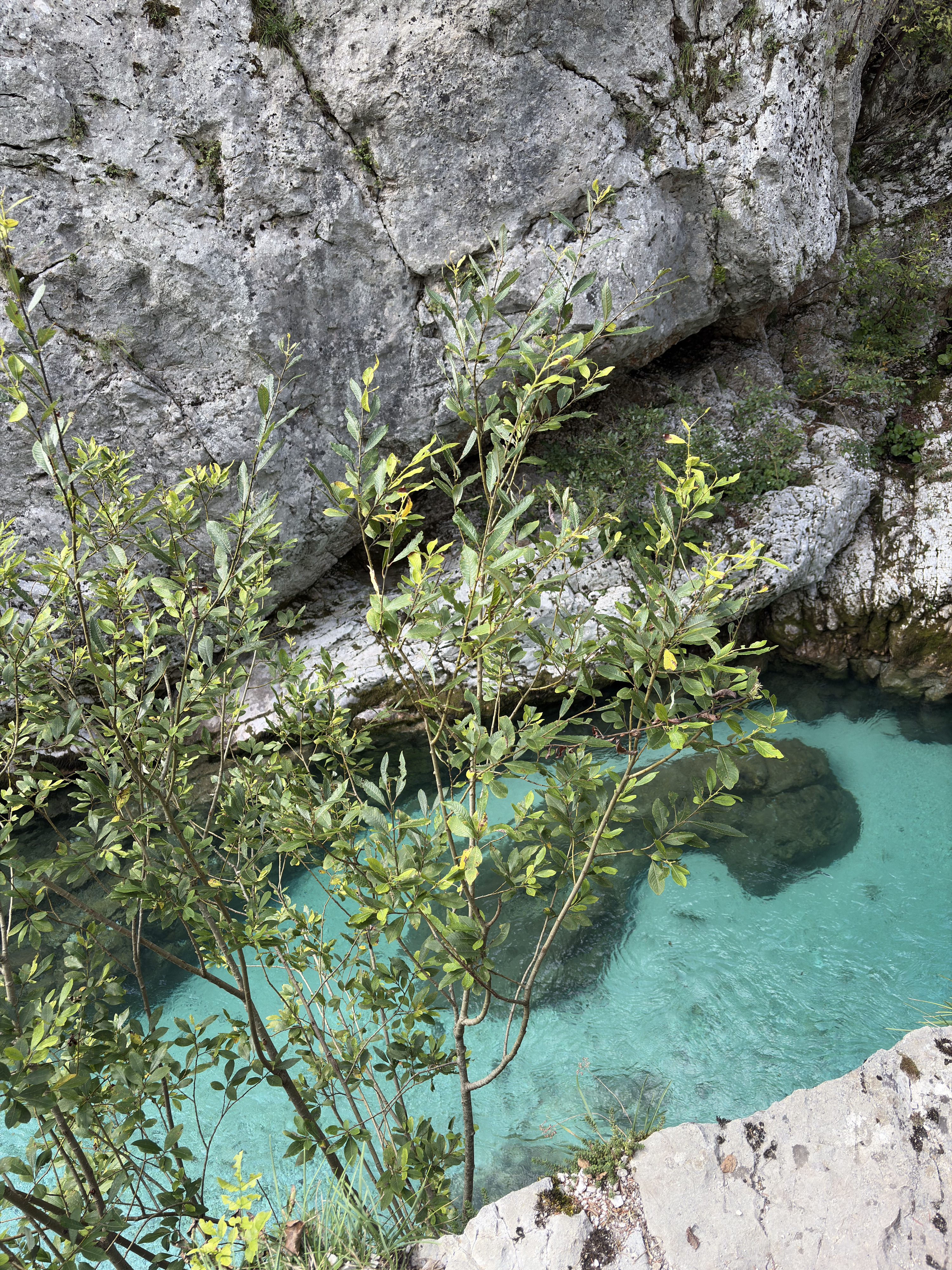 Picture Slovenia Soca River 2025-09 95 - Journey Soca River