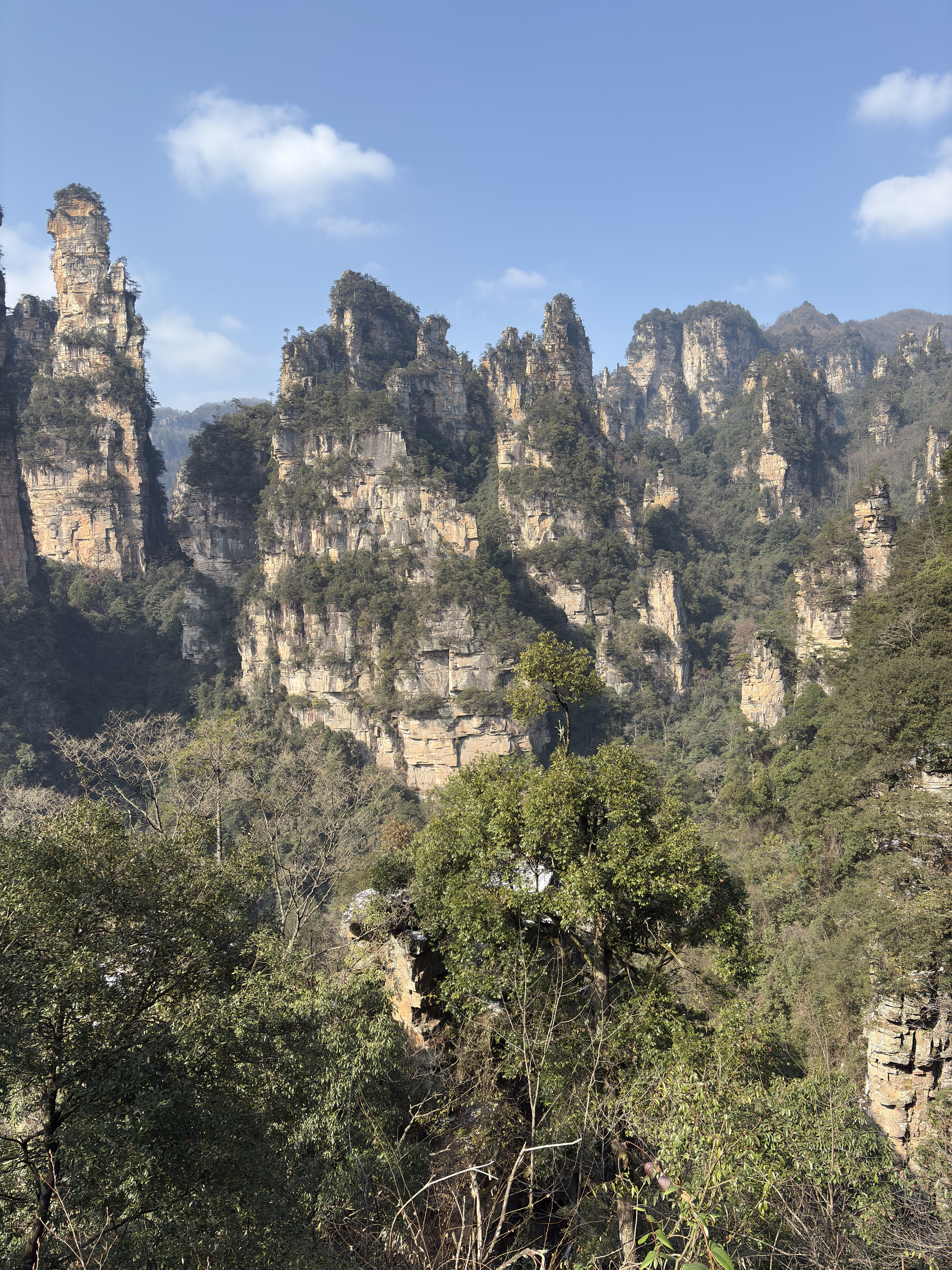 Picture China Zhangjiajie Tianzi Mountrain 2026-01 132 - Discovery Tianzi Mountrain