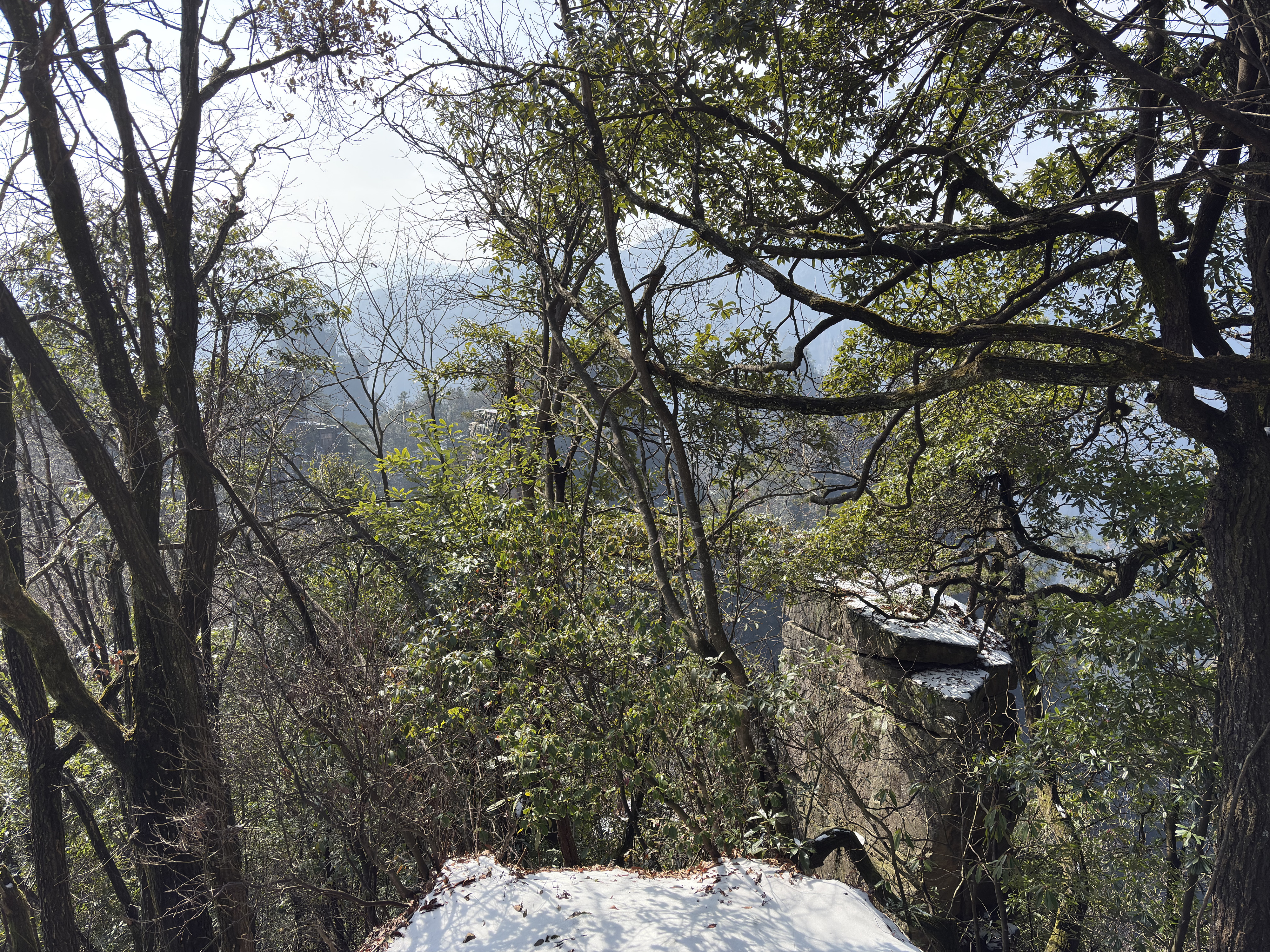Picture China Zhangjiajie Tianzi Mountrain 2026-01 268 - Recreation Tianzi Mountrain
