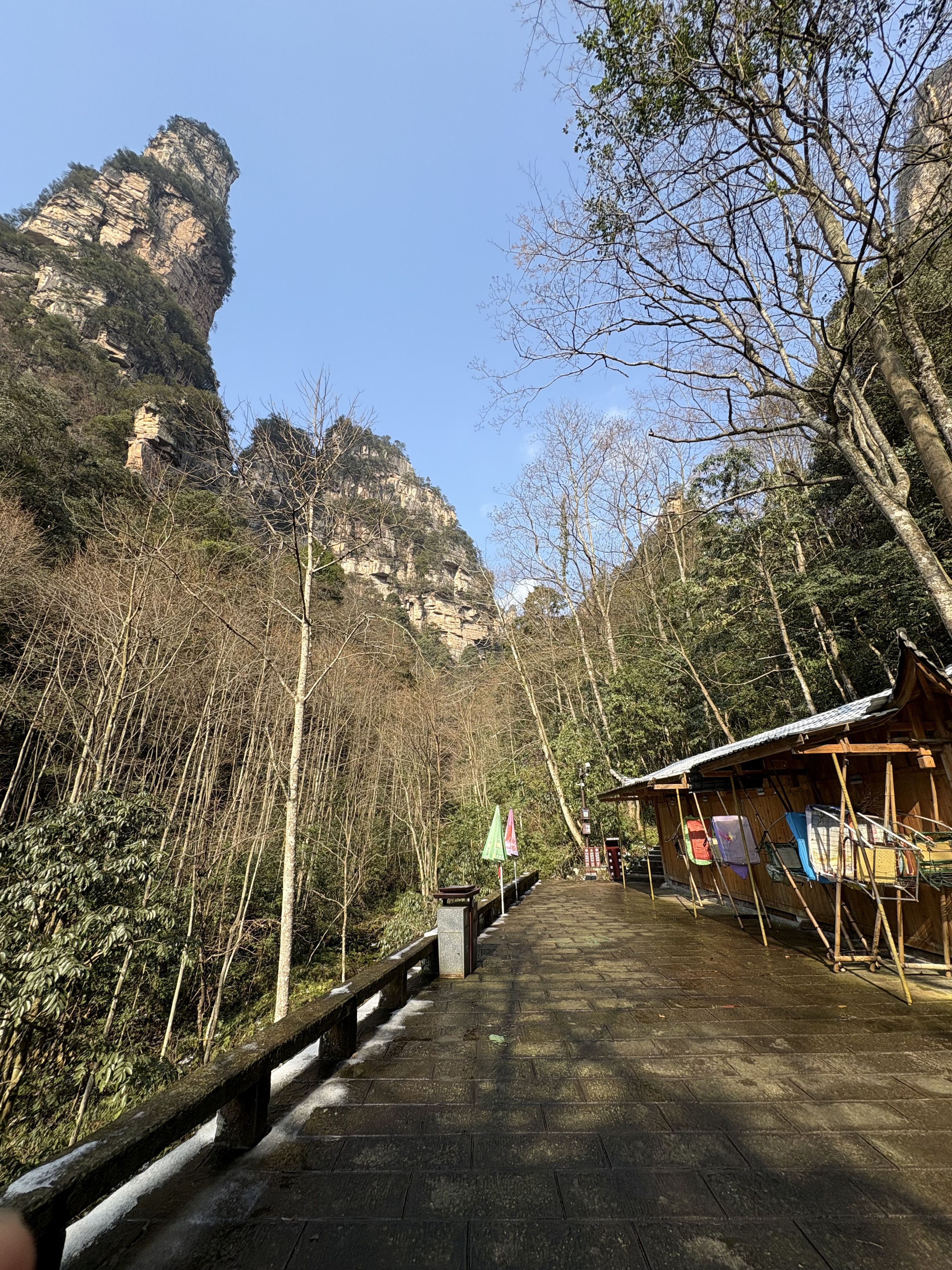 Picture China Zhangjiajie Tianzi Mountrain 2026-01 80 - Journey Tianzi Mountrain