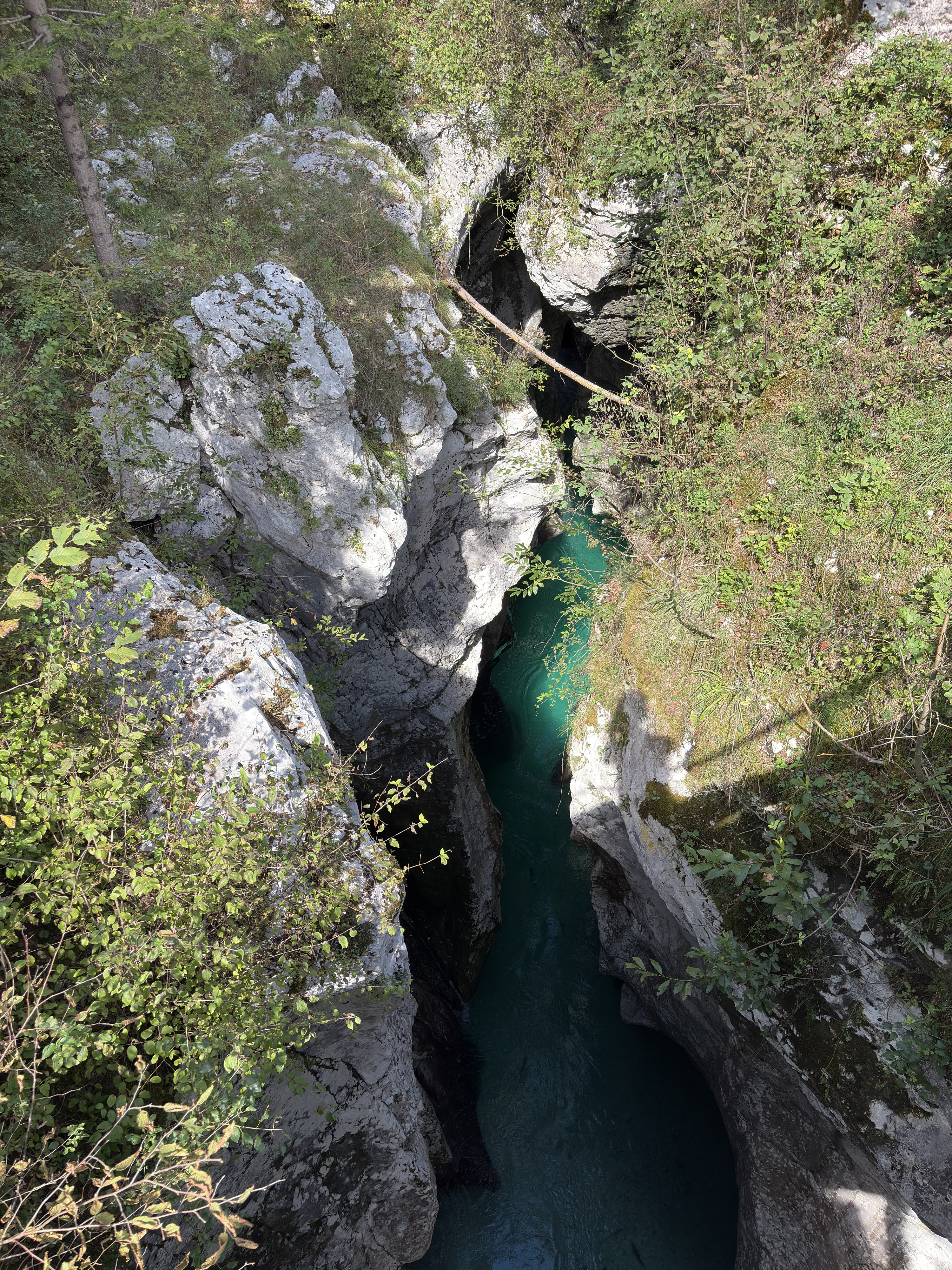 Picture Slovenia Soca River 2025-09 33 - Discovery Soca River