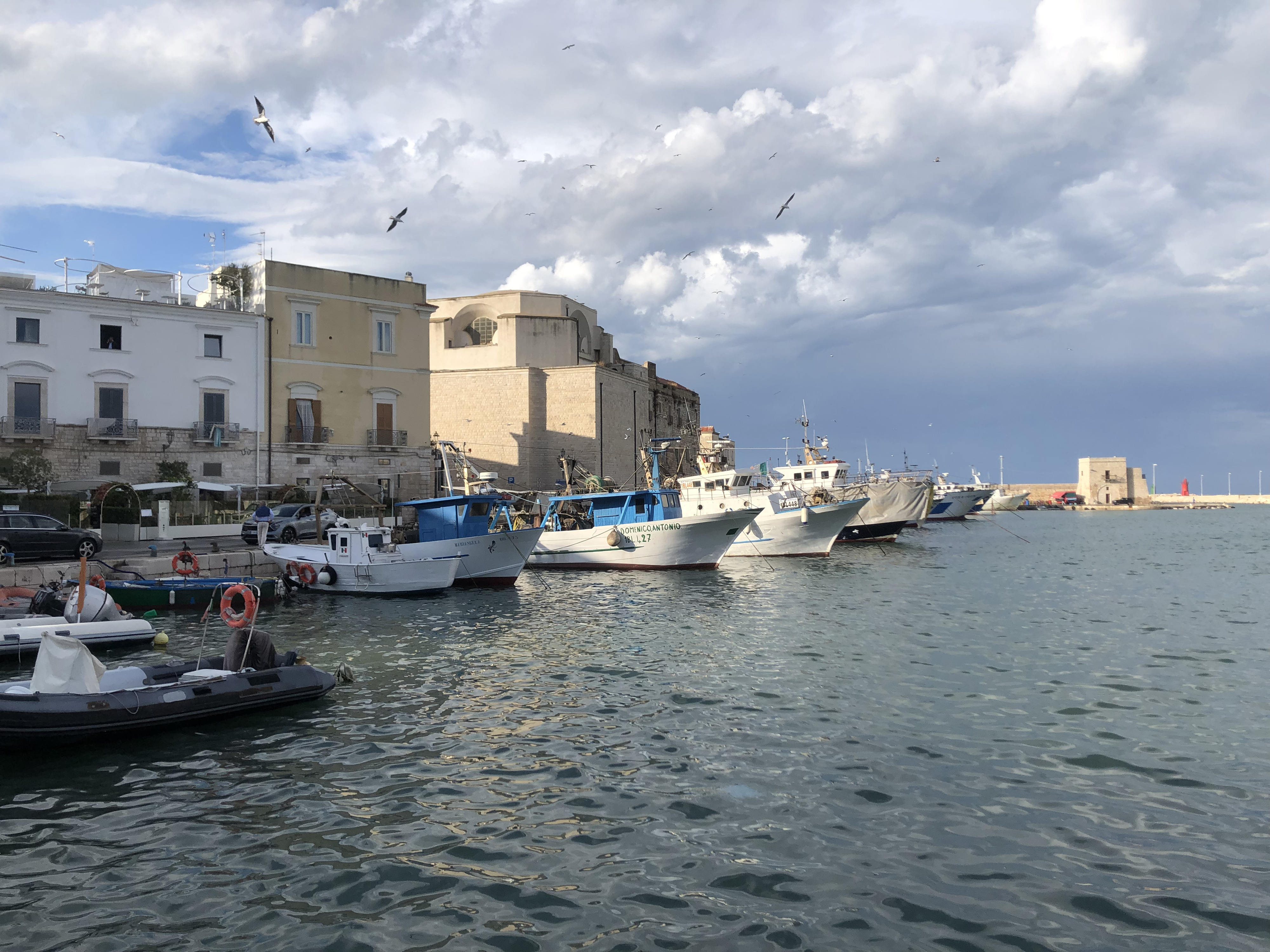 Picture Italy Trani 2024-09 123 - History Trani
