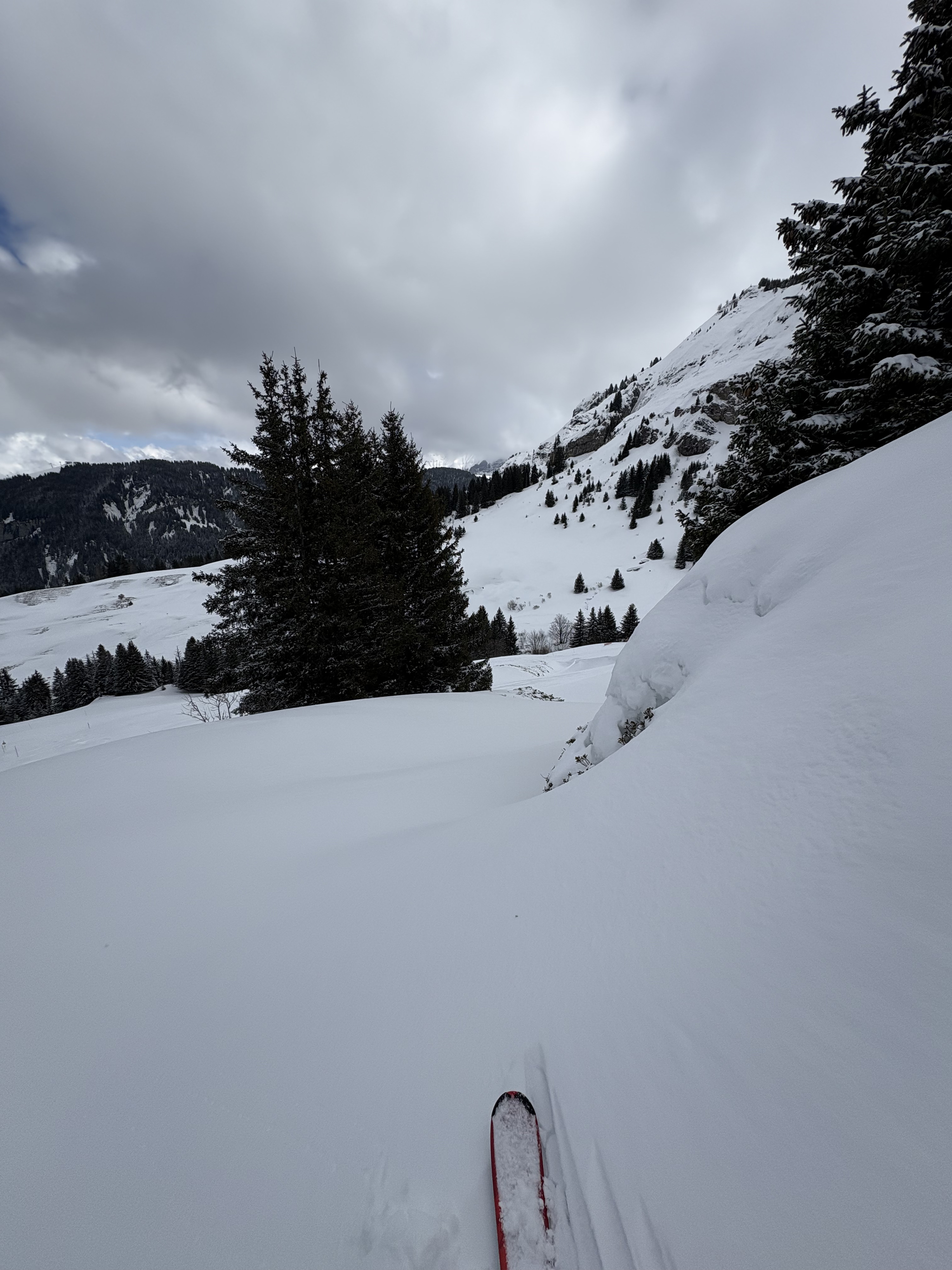 Picture France Praz sur Arly 2025-02 19 - Discovery Praz sur Arly