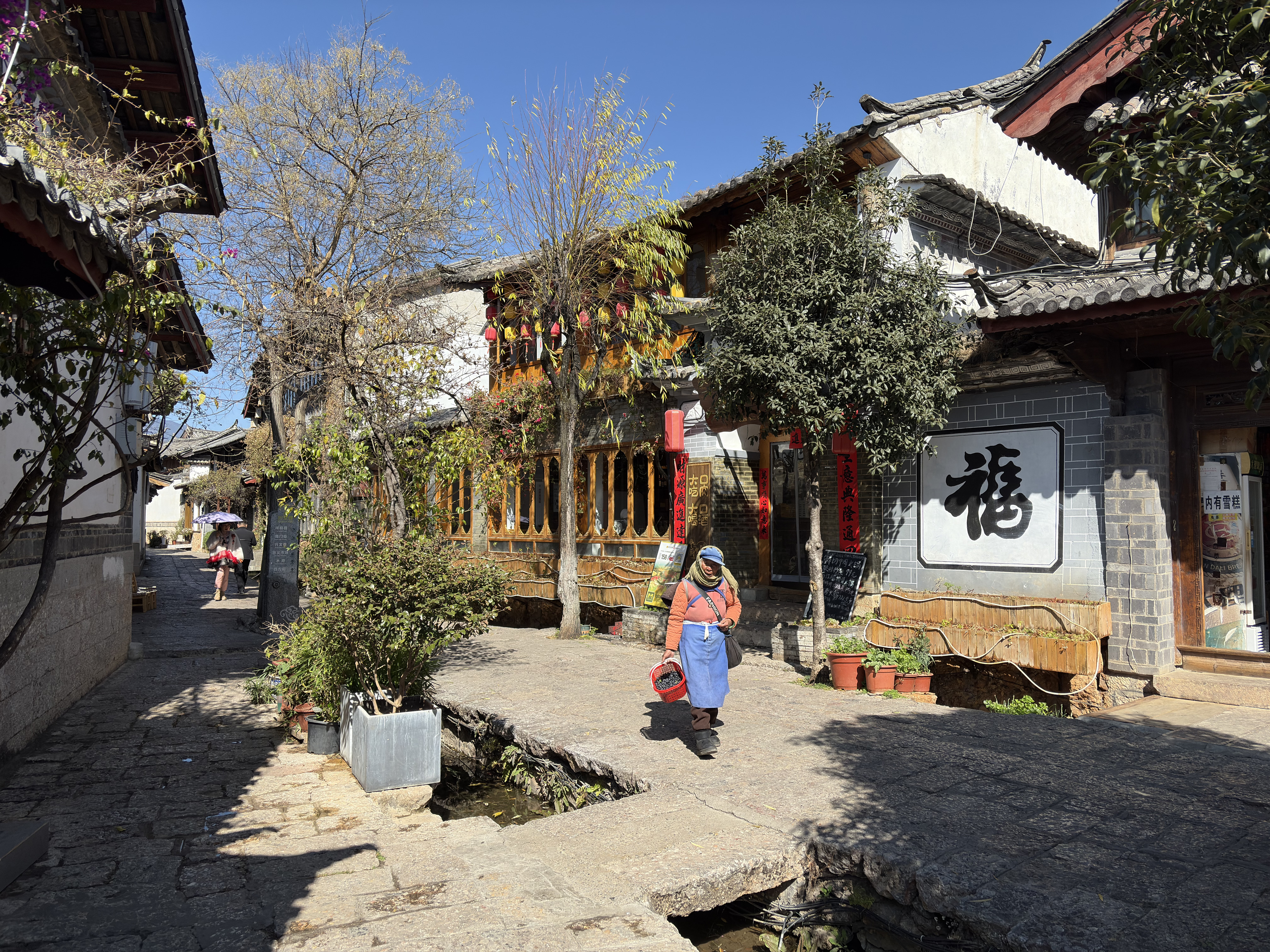 Picture China Lijiang 2026-01 32 - Discovery Lijiang