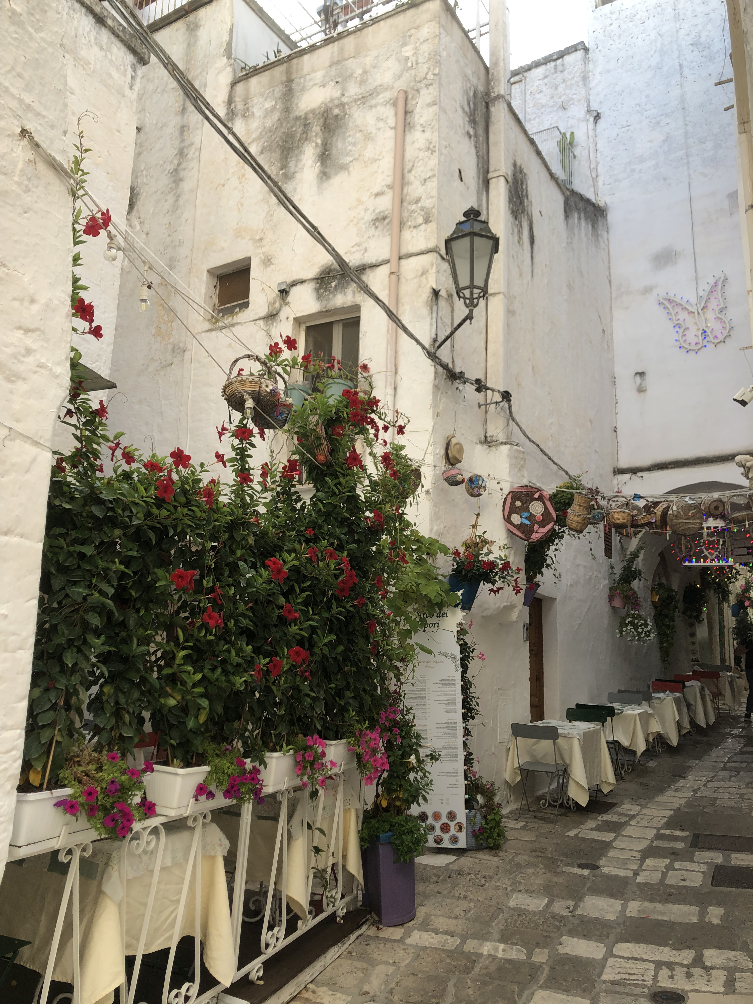 Picture Italy Ostuni 2024-09 12 - Journey Ostuni