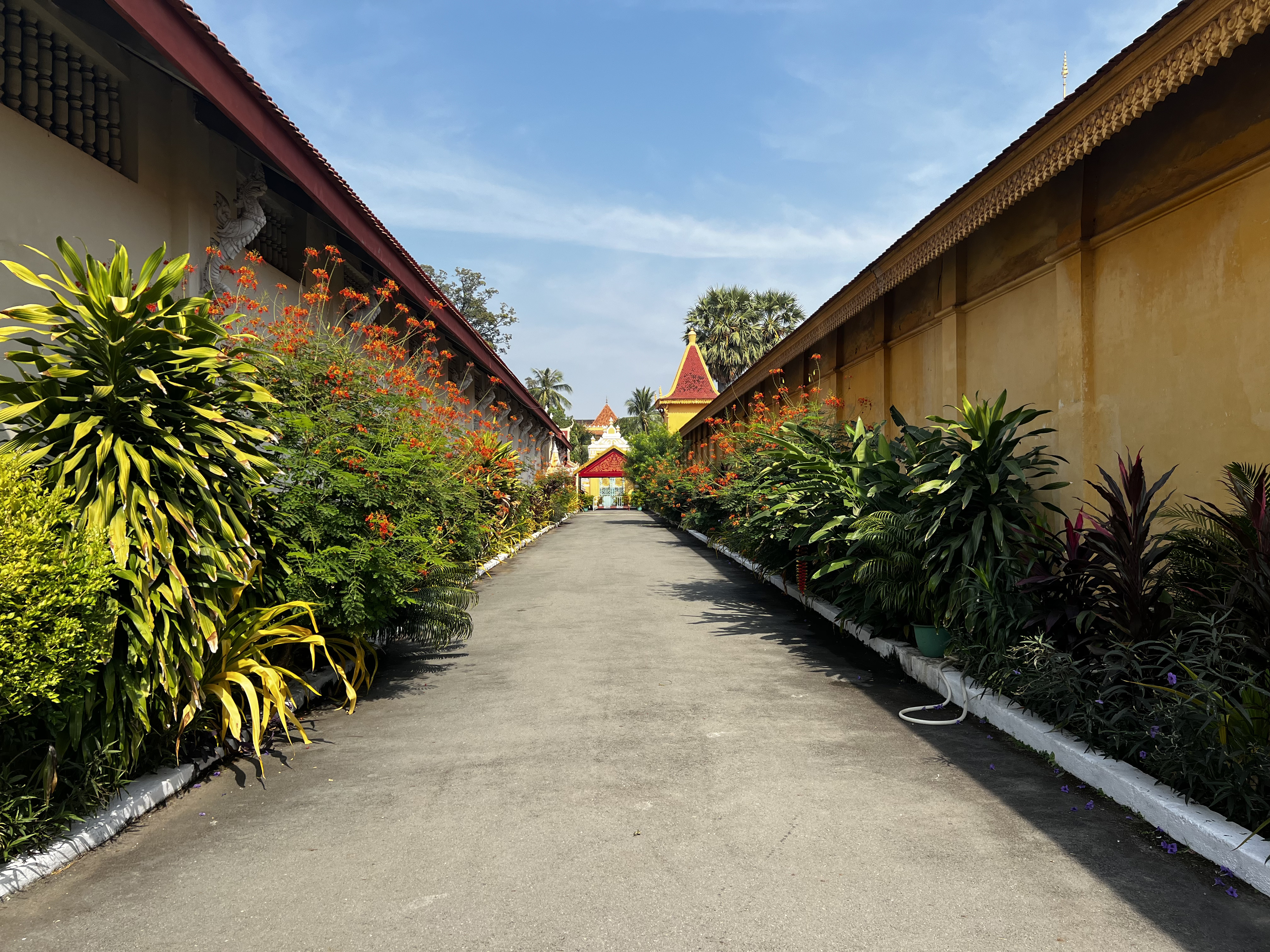 Picture Cambodia Phnom Penh Royal Palace 2024-01 1 - Tour Royal Palace