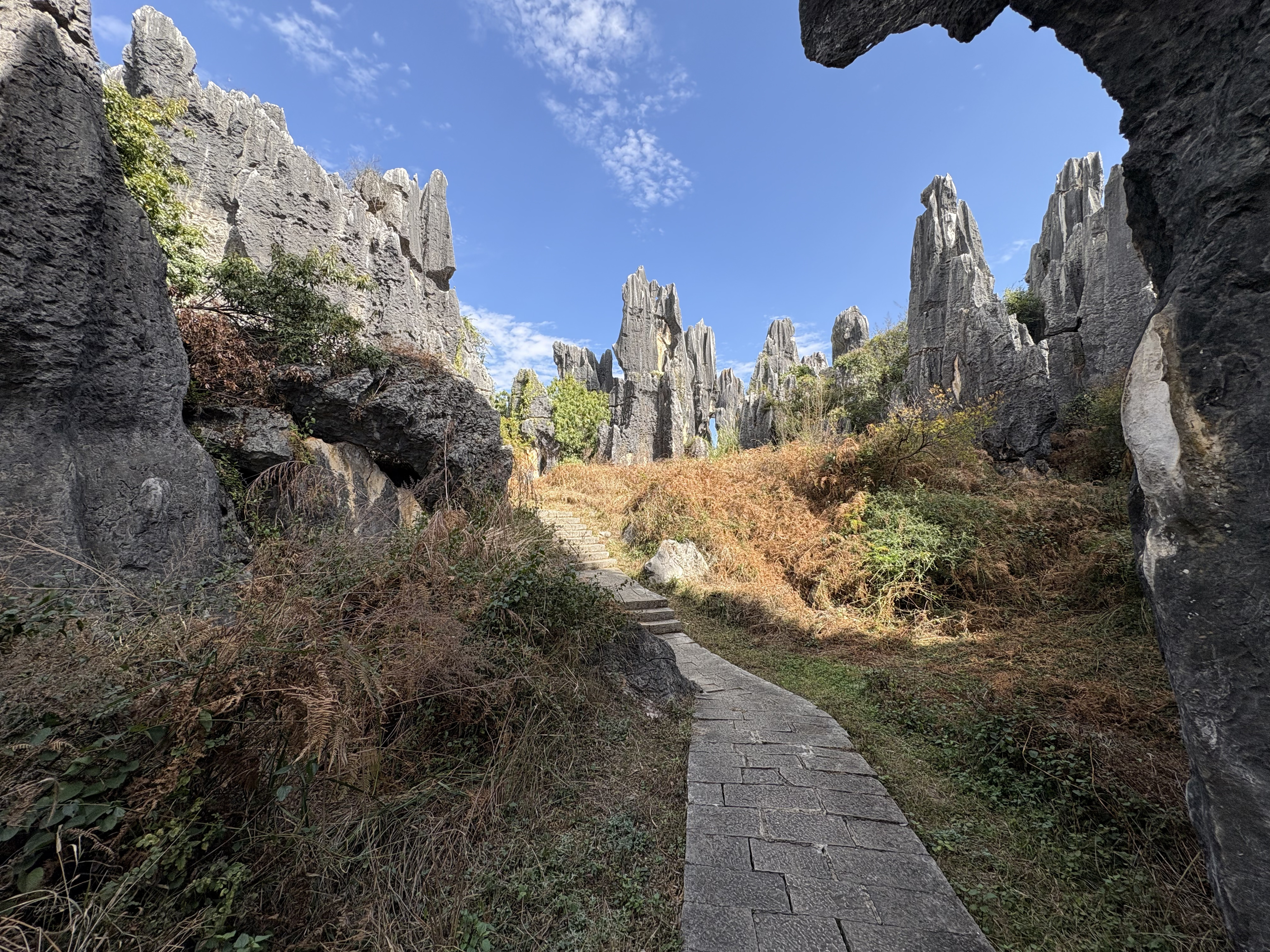 Picture China Shilin Stone Forest 2026-01 251 - Center Shilin Stone Forest