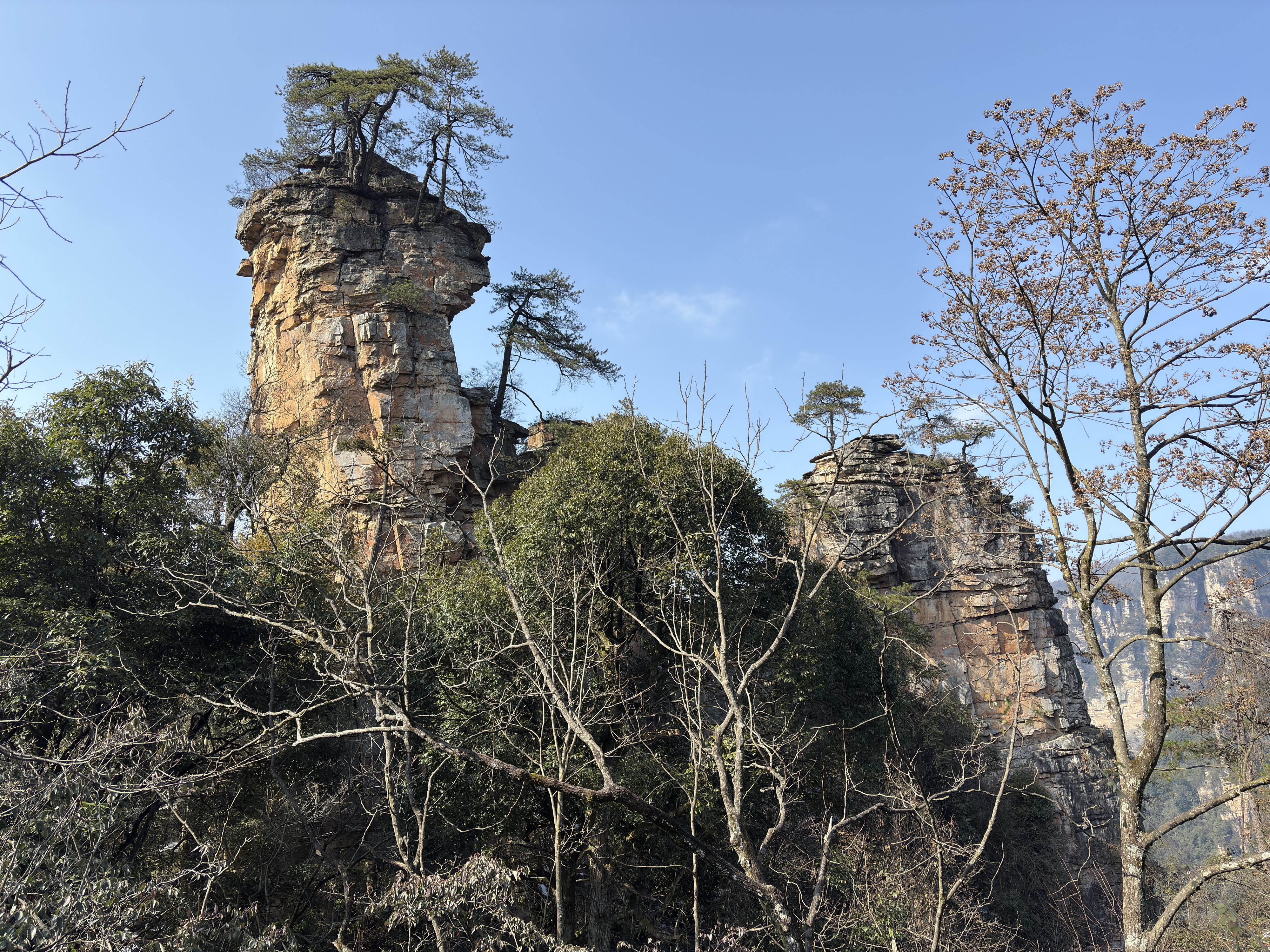 Picture China Zhangjiajie Tianzi Mountrain 2026-01 309 - Tour Tianzi Mountrain