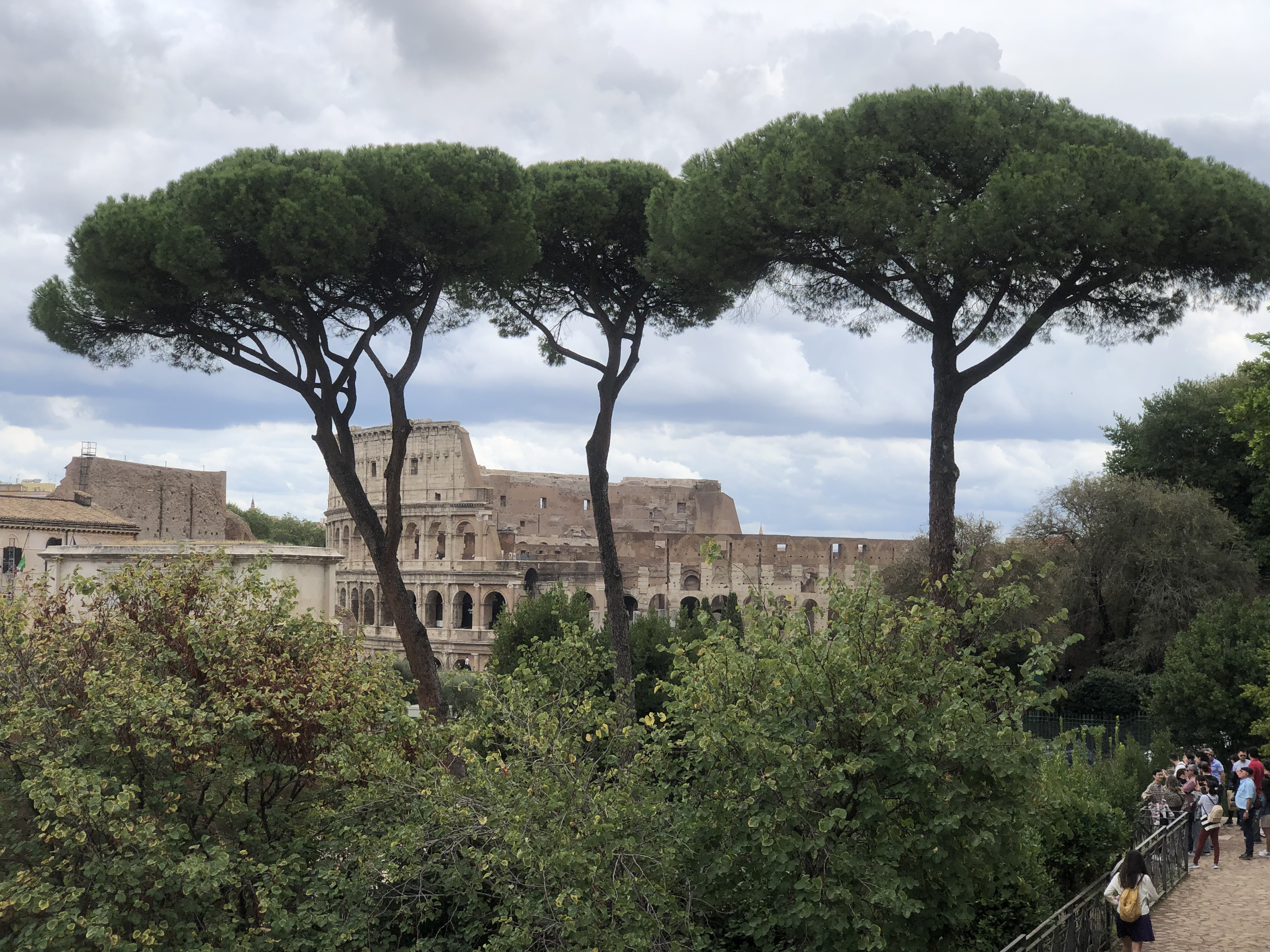 Picture Italy Rome Roman Forum 2024-09 81 - Around Roman Forum