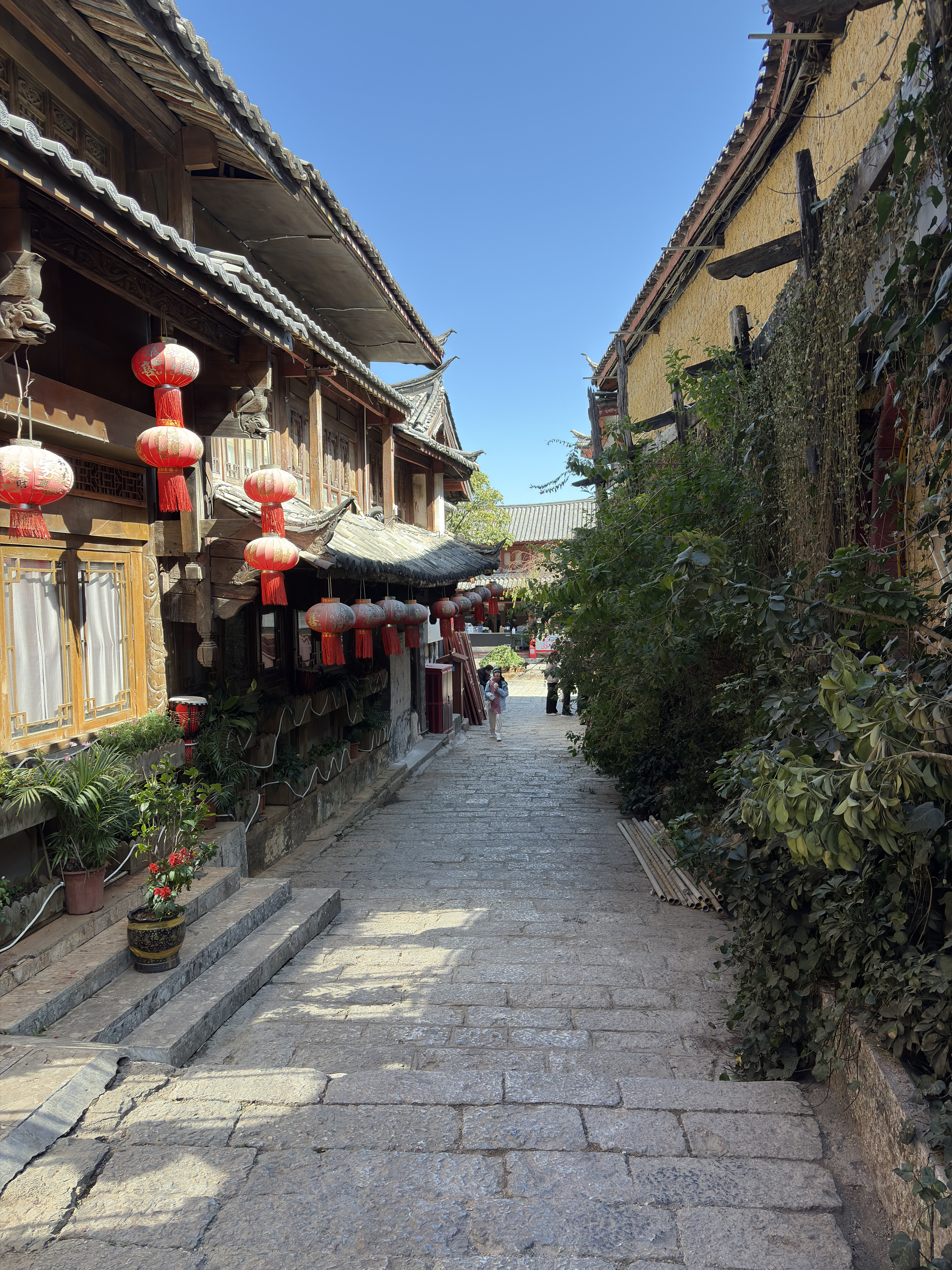 Picture China Lijiang 2026-01 475 - Center Lijiang