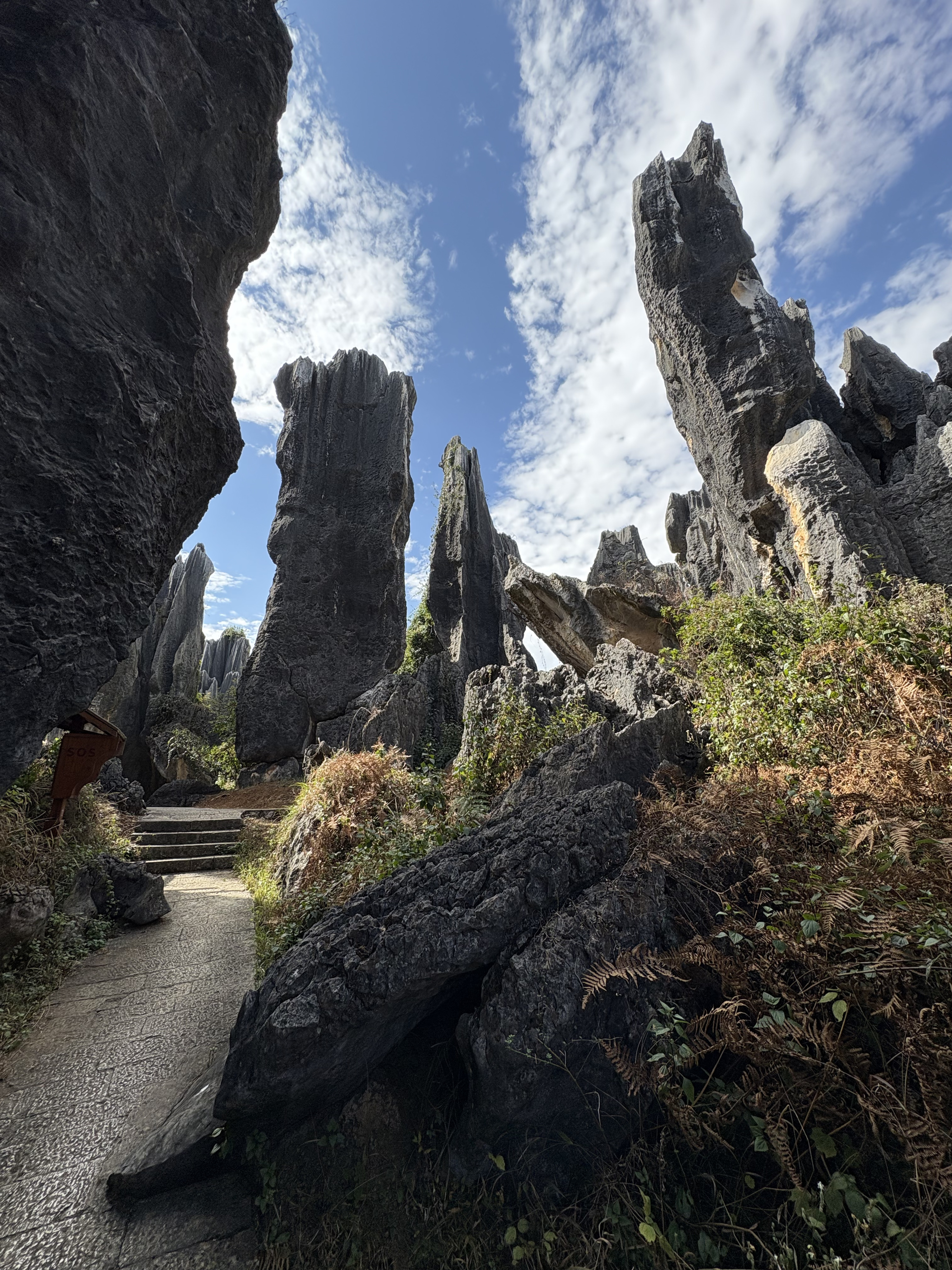 Picture China Shilin Stone Forest 2026-01 173 - Tour Shilin Stone Forest
