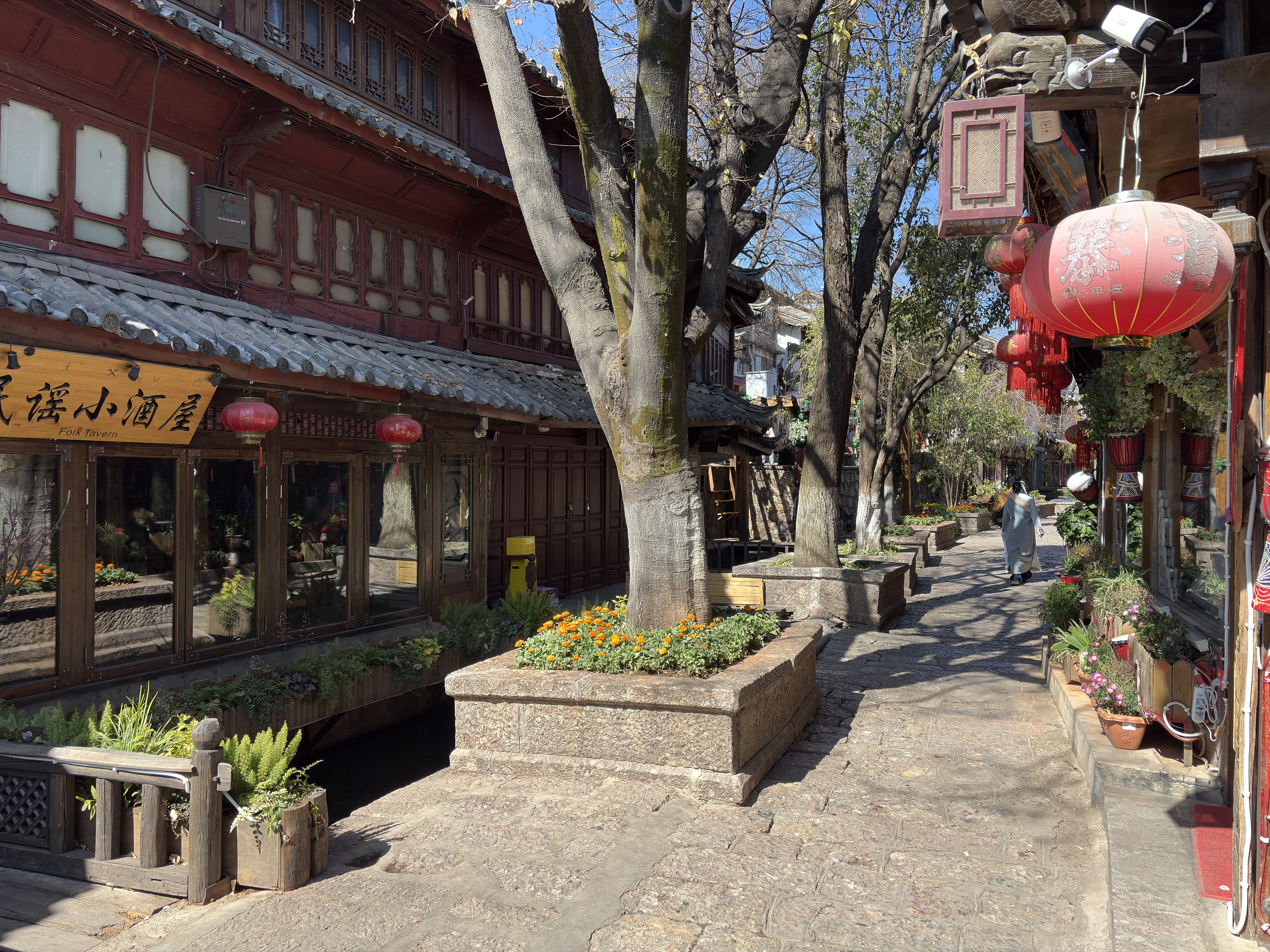 Picture China Lijiang 2026-01 429 - History Lijiang