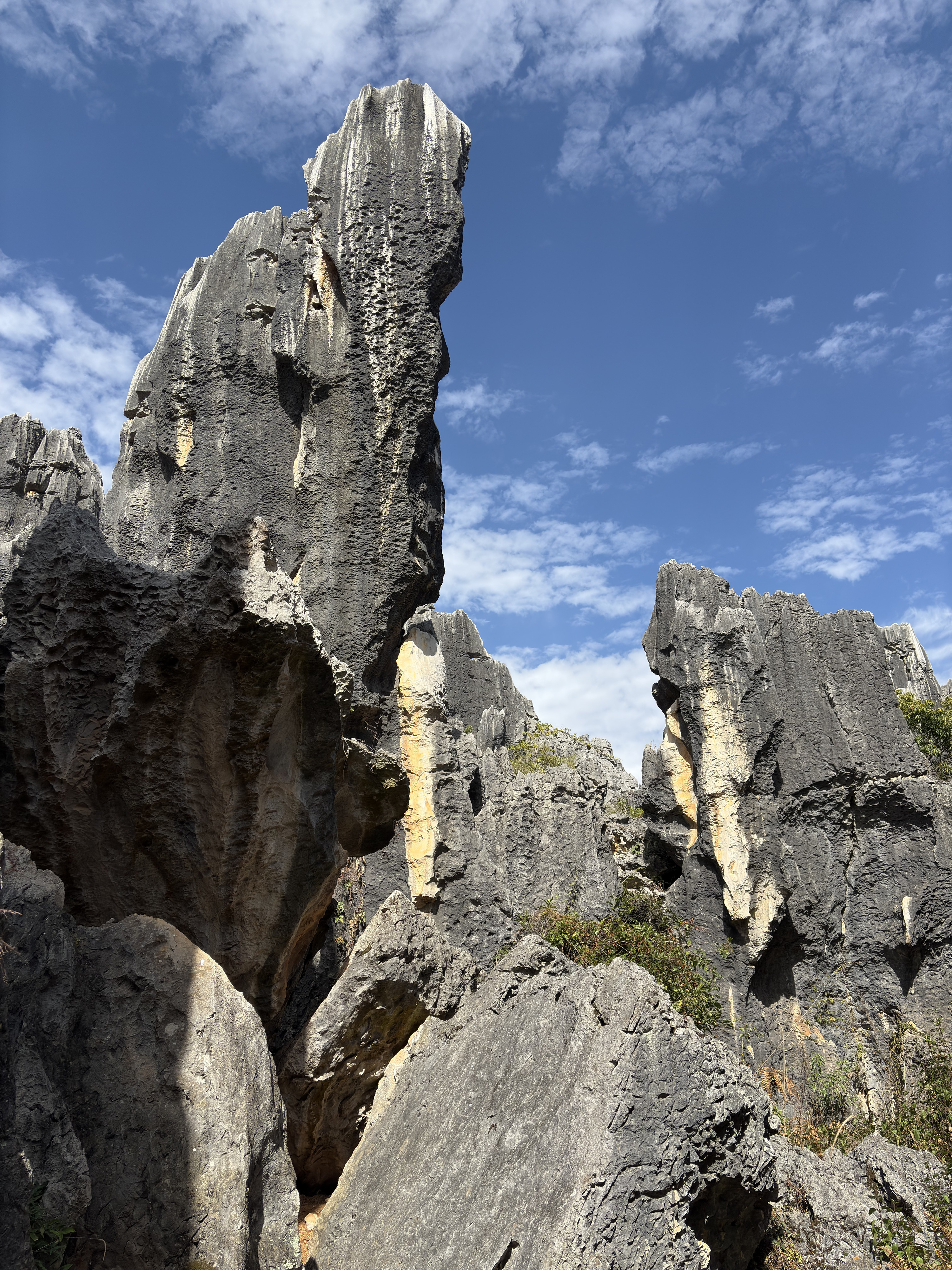 Picture China Shilin Stone Forest 2026-01 116 - Tours Shilin Stone Forest