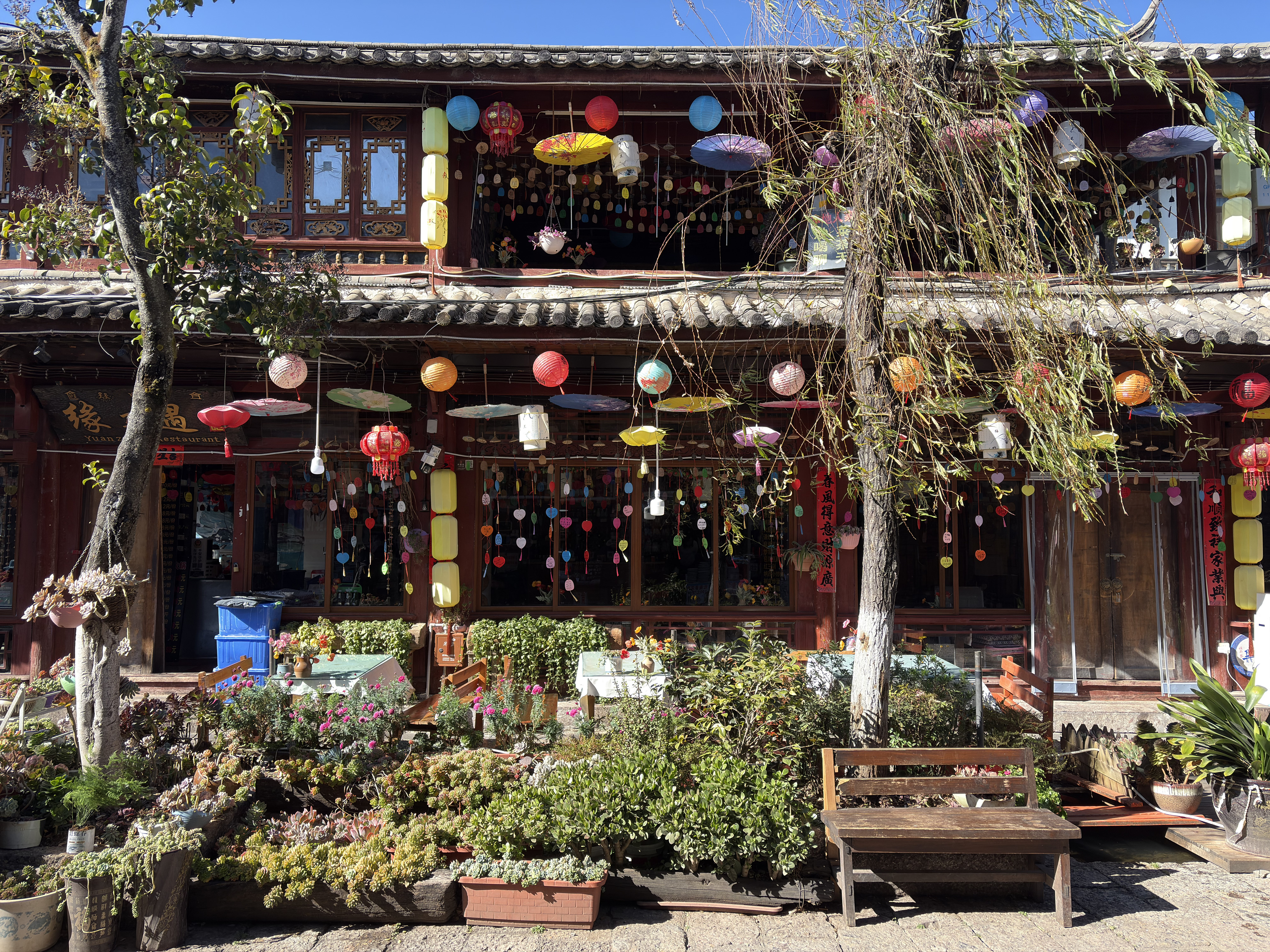 Picture China Lijiang 2026-01 46 - Around Lijiang