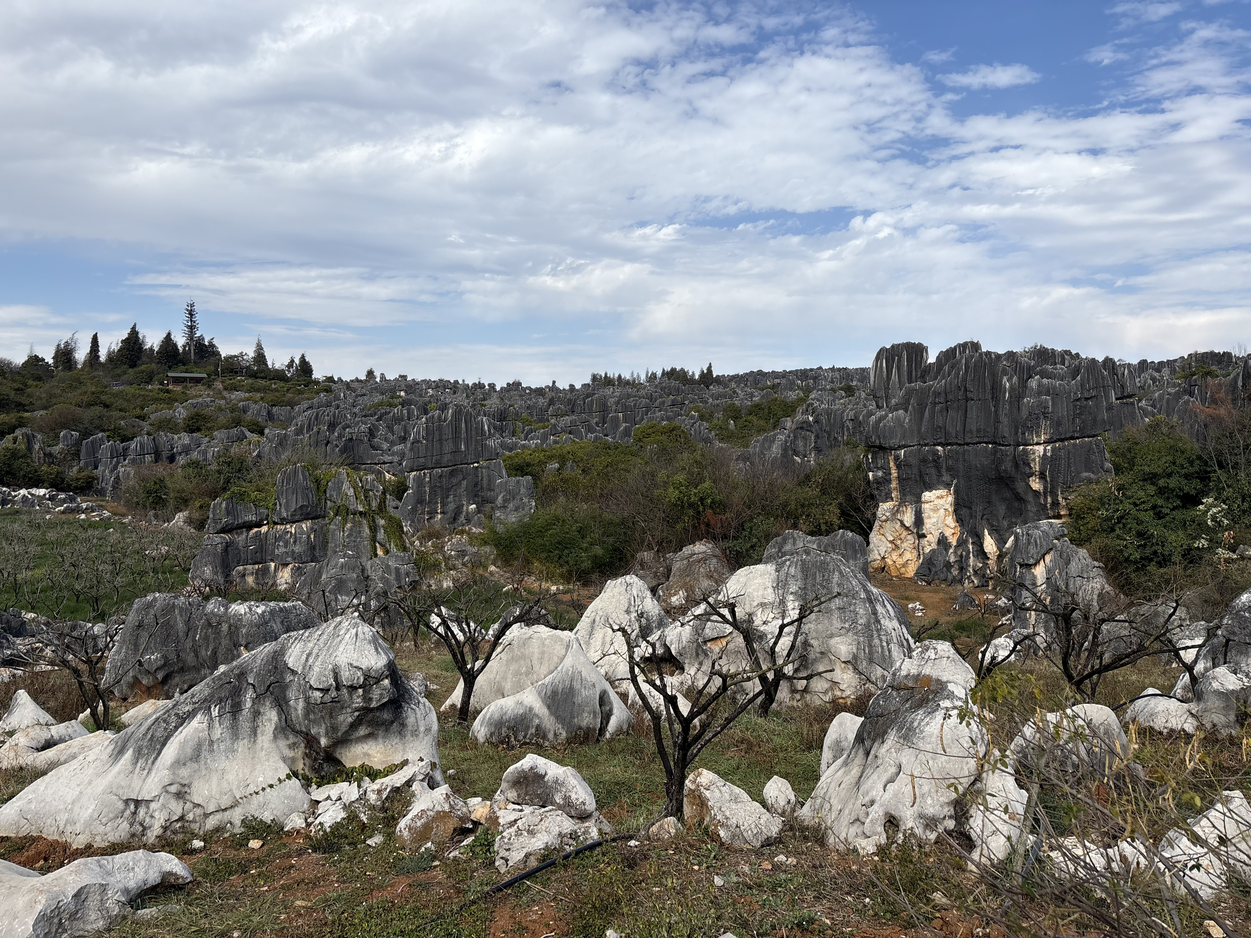 Picture China Shilin Stone Forest 2026-01 330 - Tours Shilin Stone Forest
