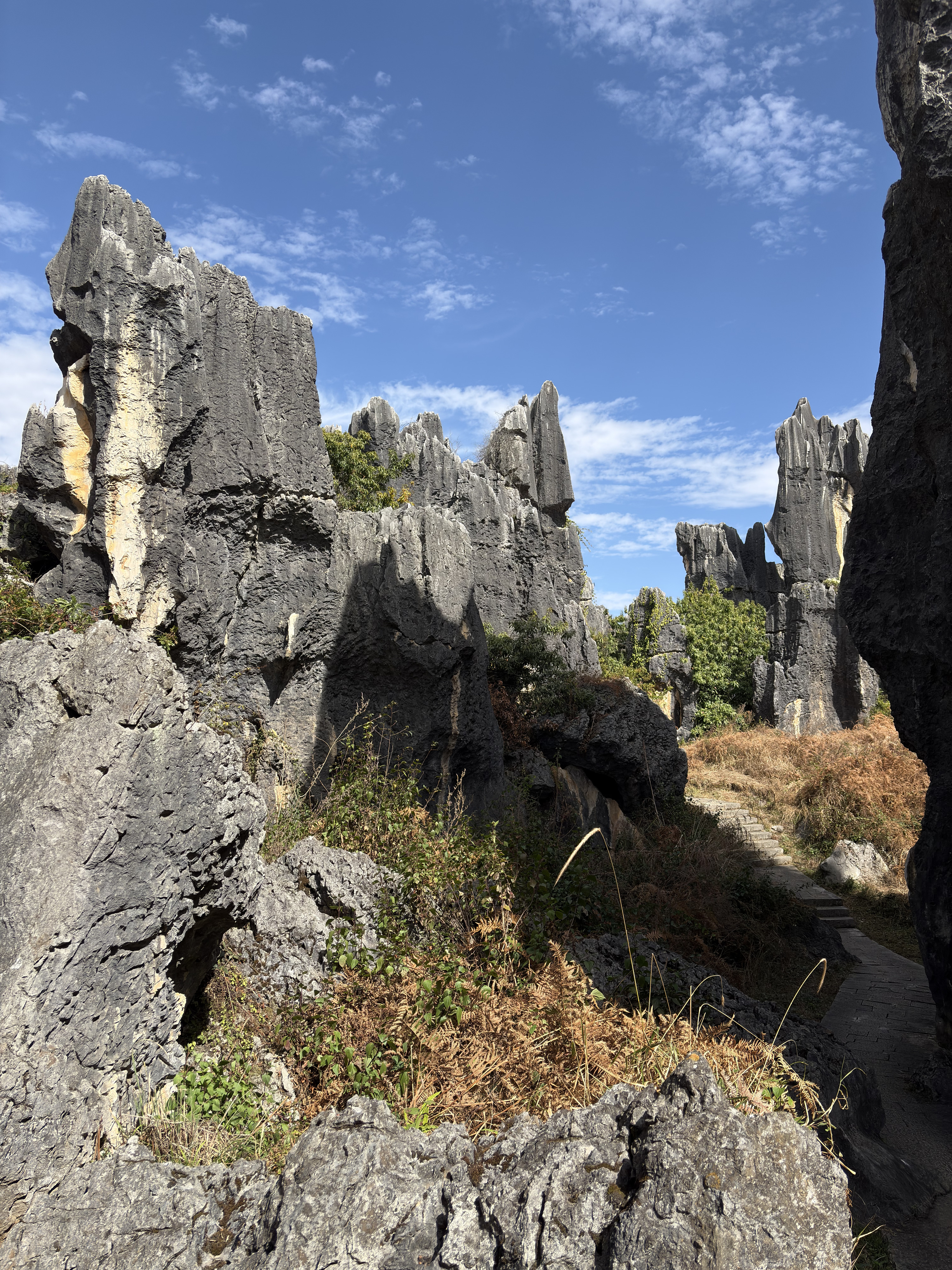 Picture China Shilin Stone Forest 2026-01 0 - Center Shilin Stone Forest