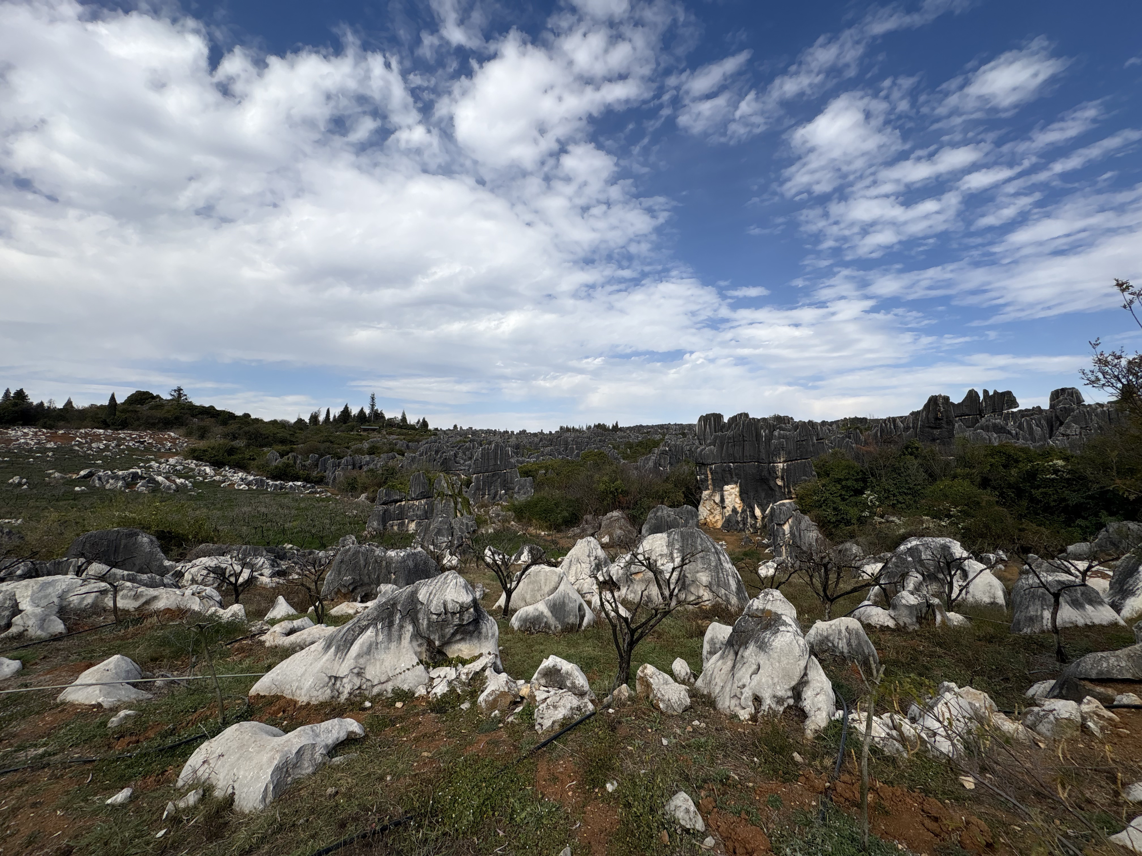 Picture China Shilin Stone Forest 2026-01 371 - Journey Shilin Stone Forest