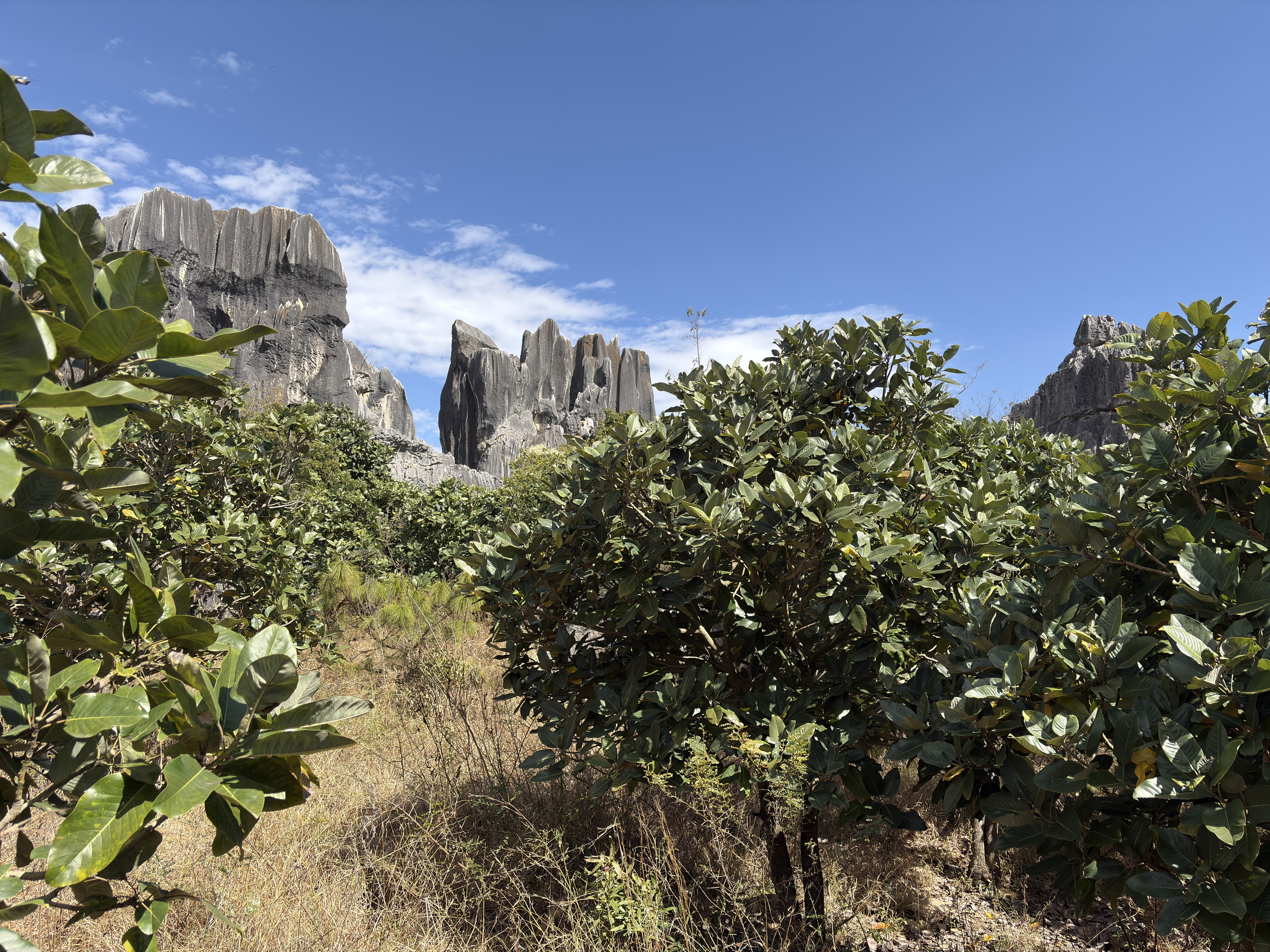 Picture China Shilin Stone Forest 2026-01 259 - Discovery Shilin Stone Forest