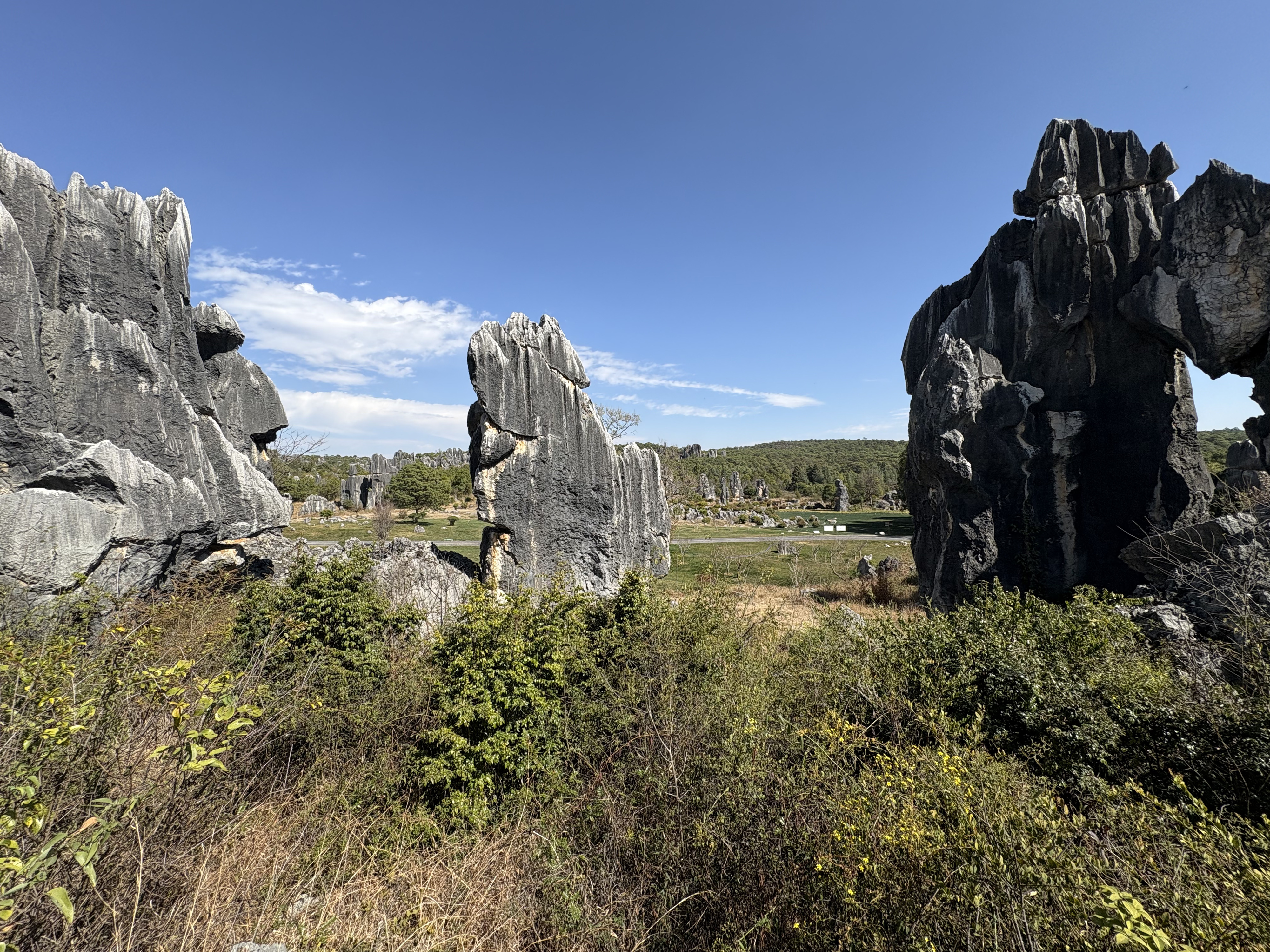 Picture China Shilin Stone Forest 2026-01 93 - Tours Shilin Stone Forest