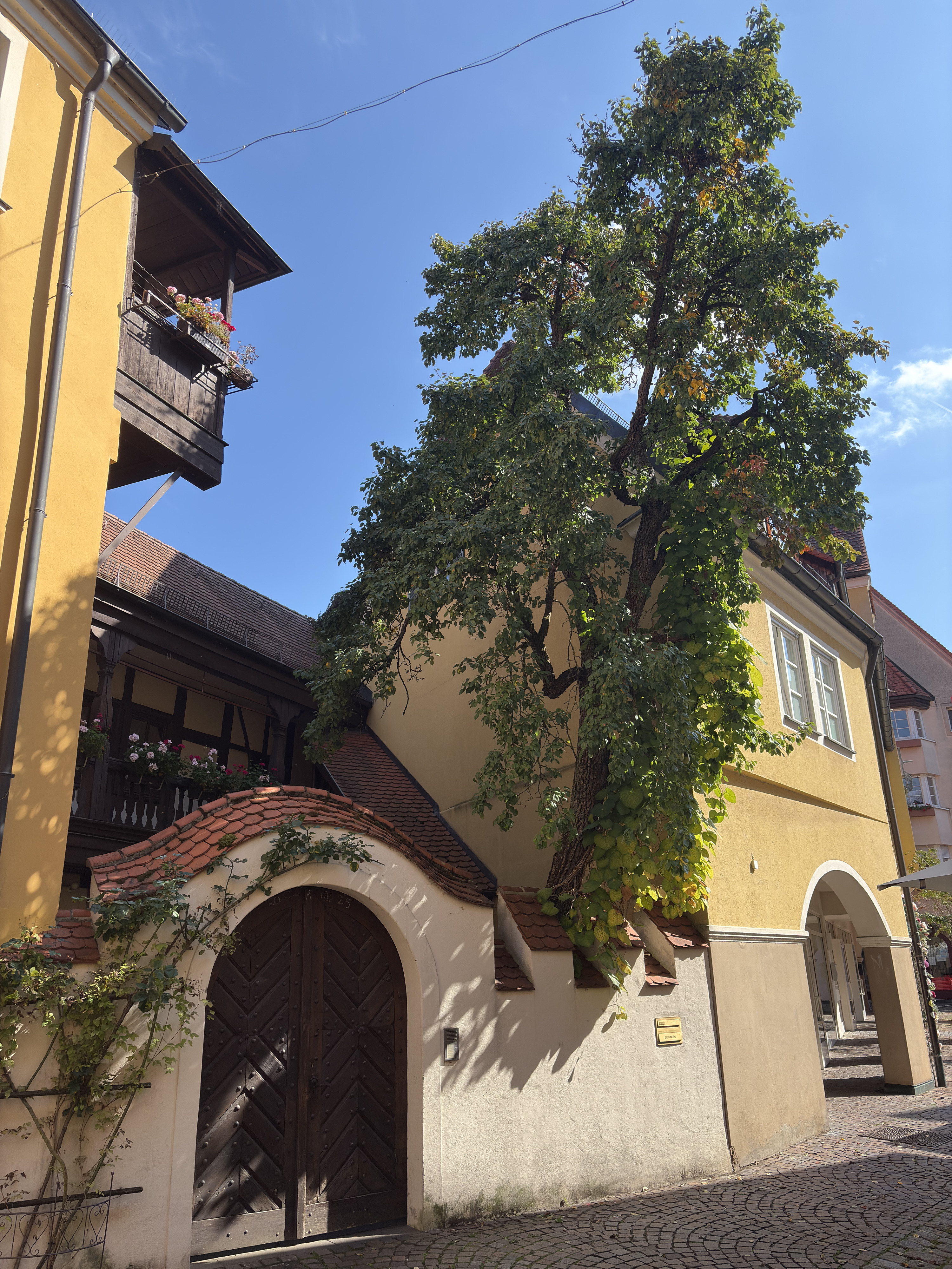 Picture Germany Ellwangen 2025-09 0 - Journey Ellwangen