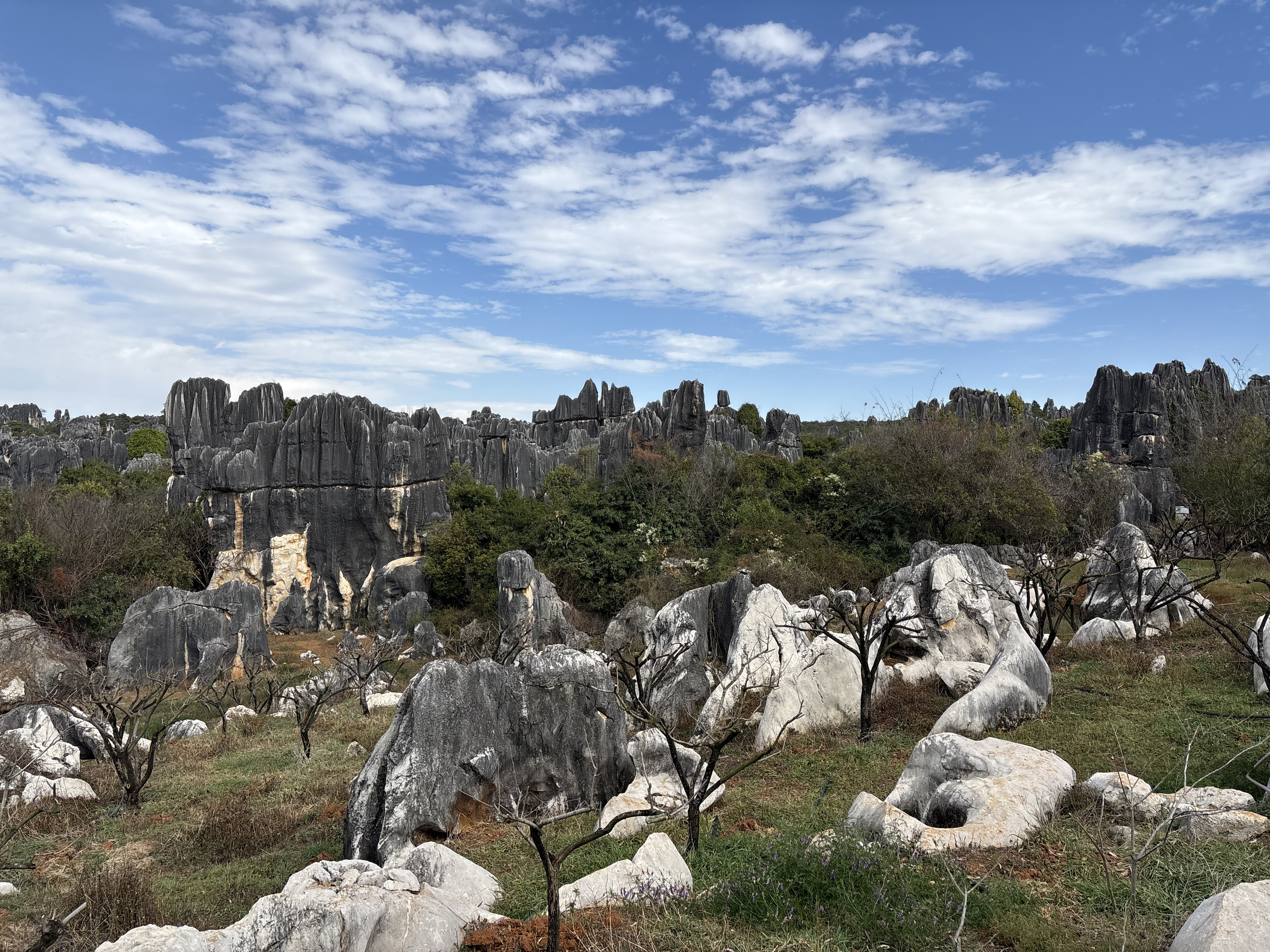 Picture China Shilin Stone Forest 2026-01 114 - Tour Shilin Stone Forest