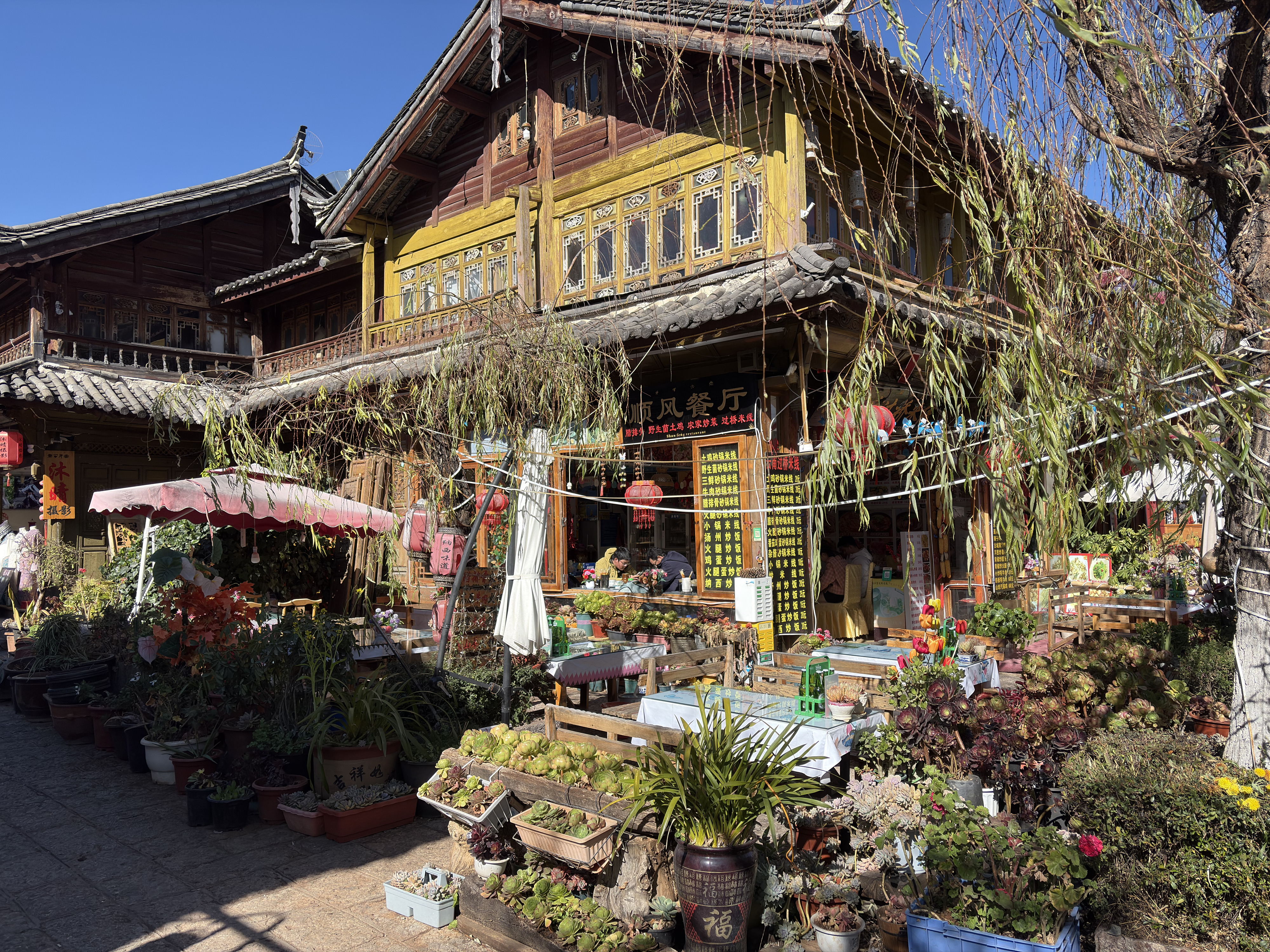 Picture China Lijiang 2026-01 589 - Journey Lijiang