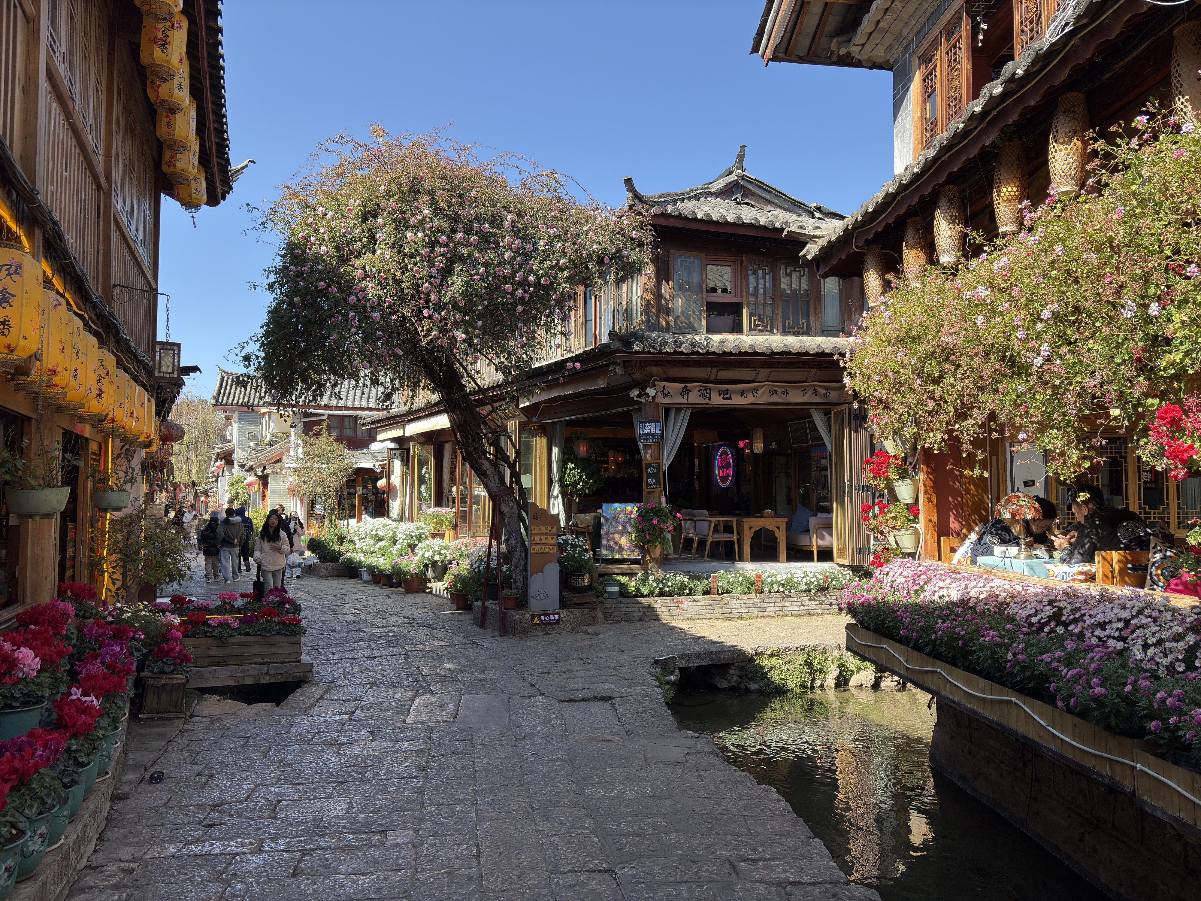 Picture China Lijiang 2026-01 742 - Tours Lijiang