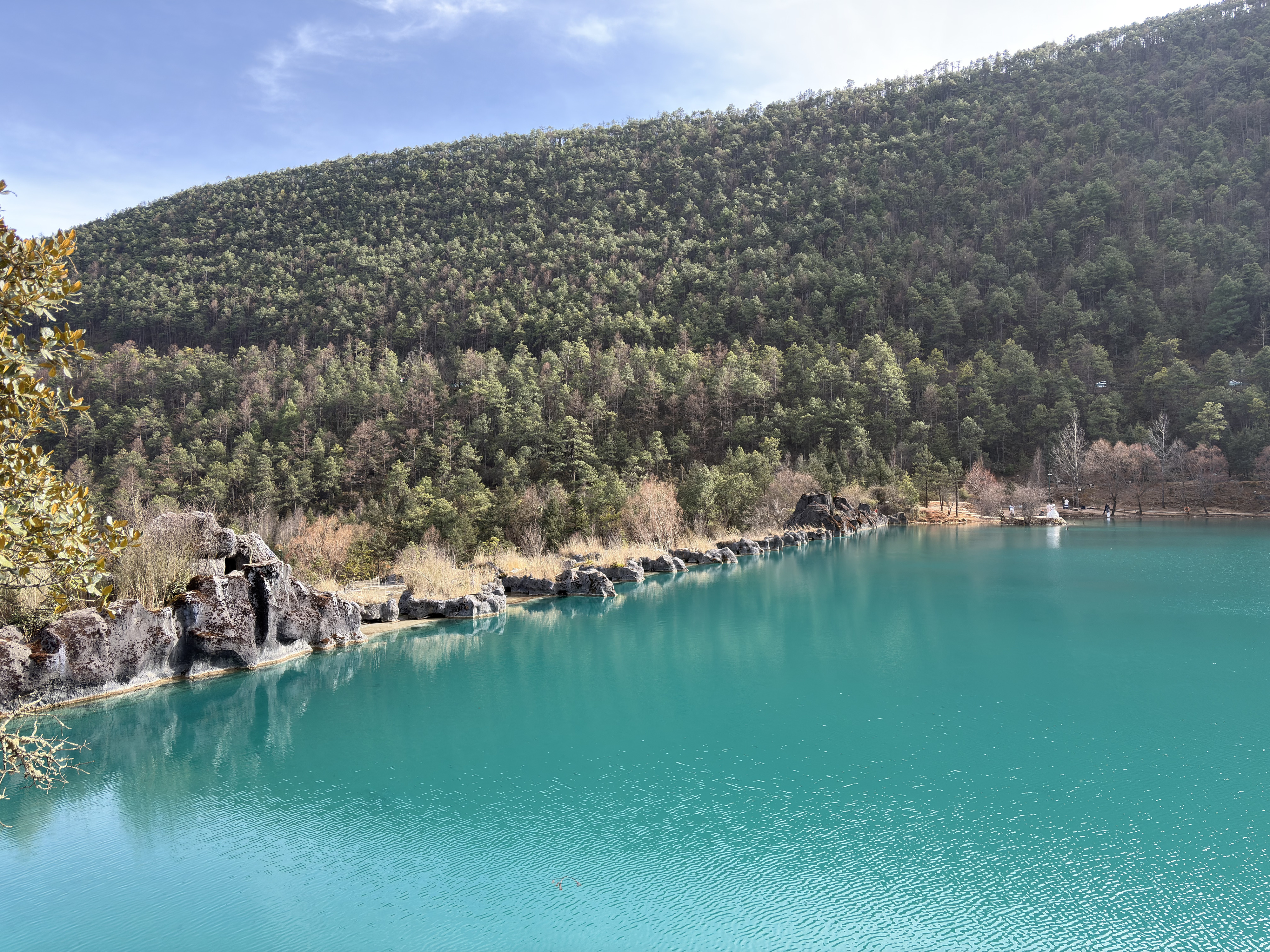 Picture China Lijiang Blue moon valley 2026-01 117 - Discovery Blue moon valley