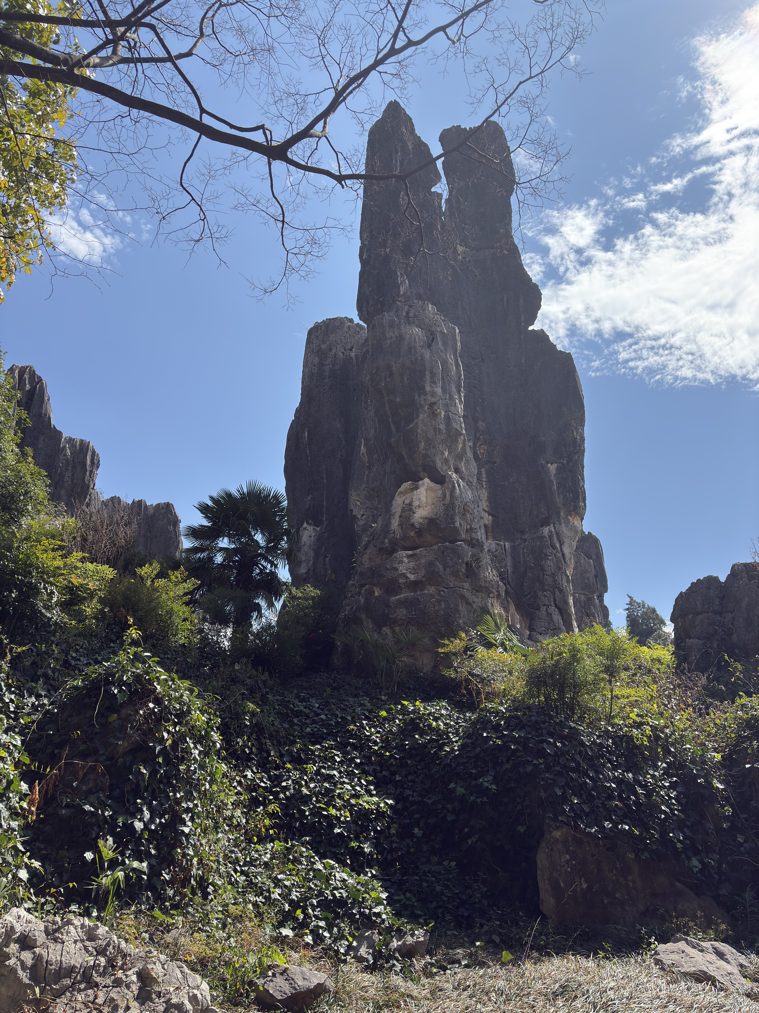 Picture China Shilin Stone Forest 2026-01 51 - Tour Shilin Stone Forest