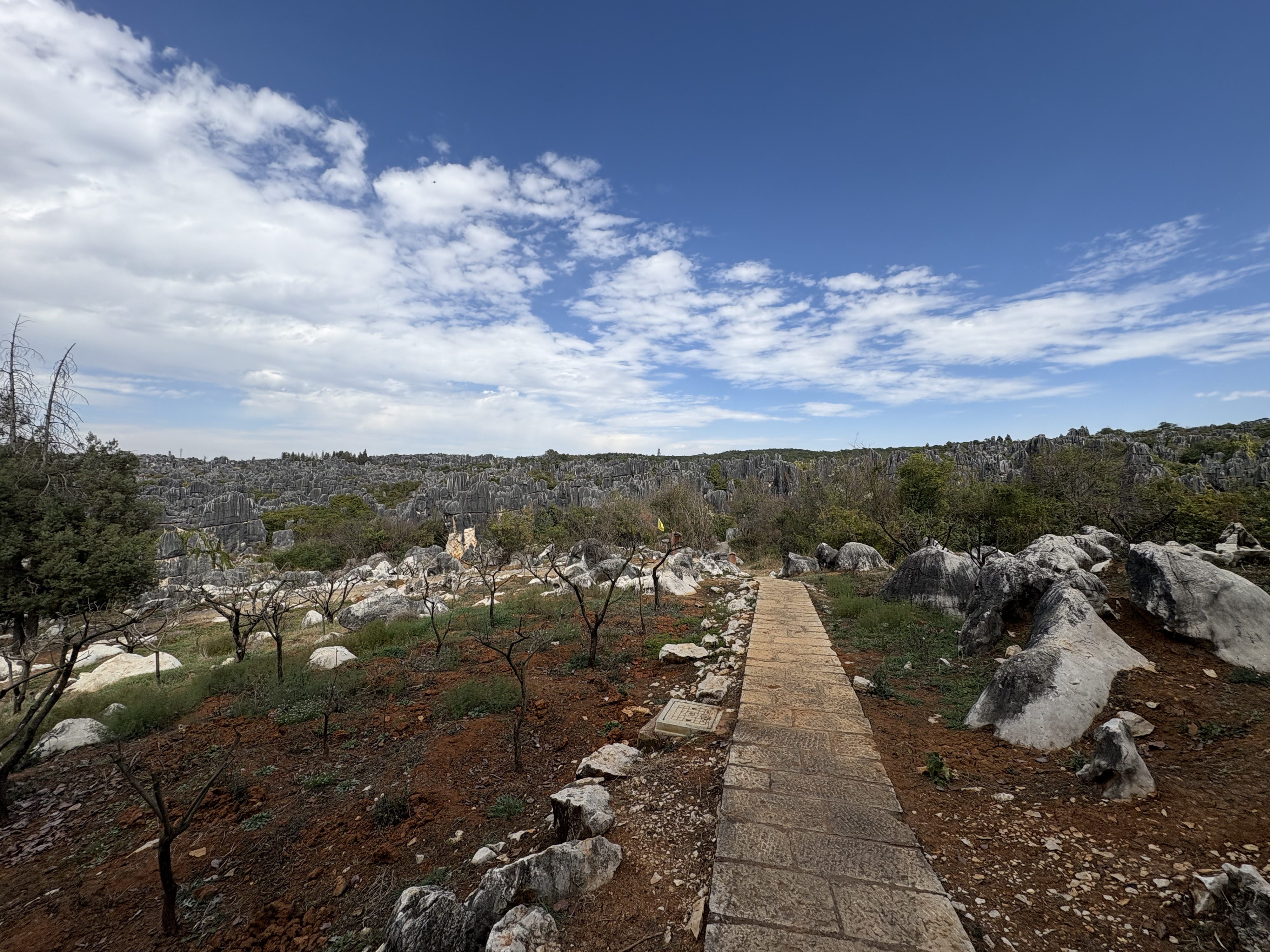 Picture China Shilin Stone Forest 2026-01 300 - History Shilin Stone Forest